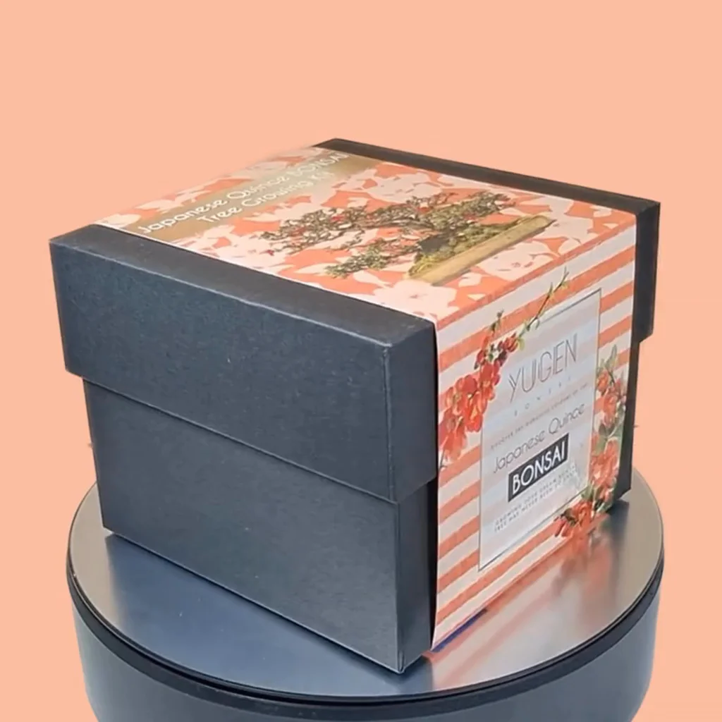 Product video