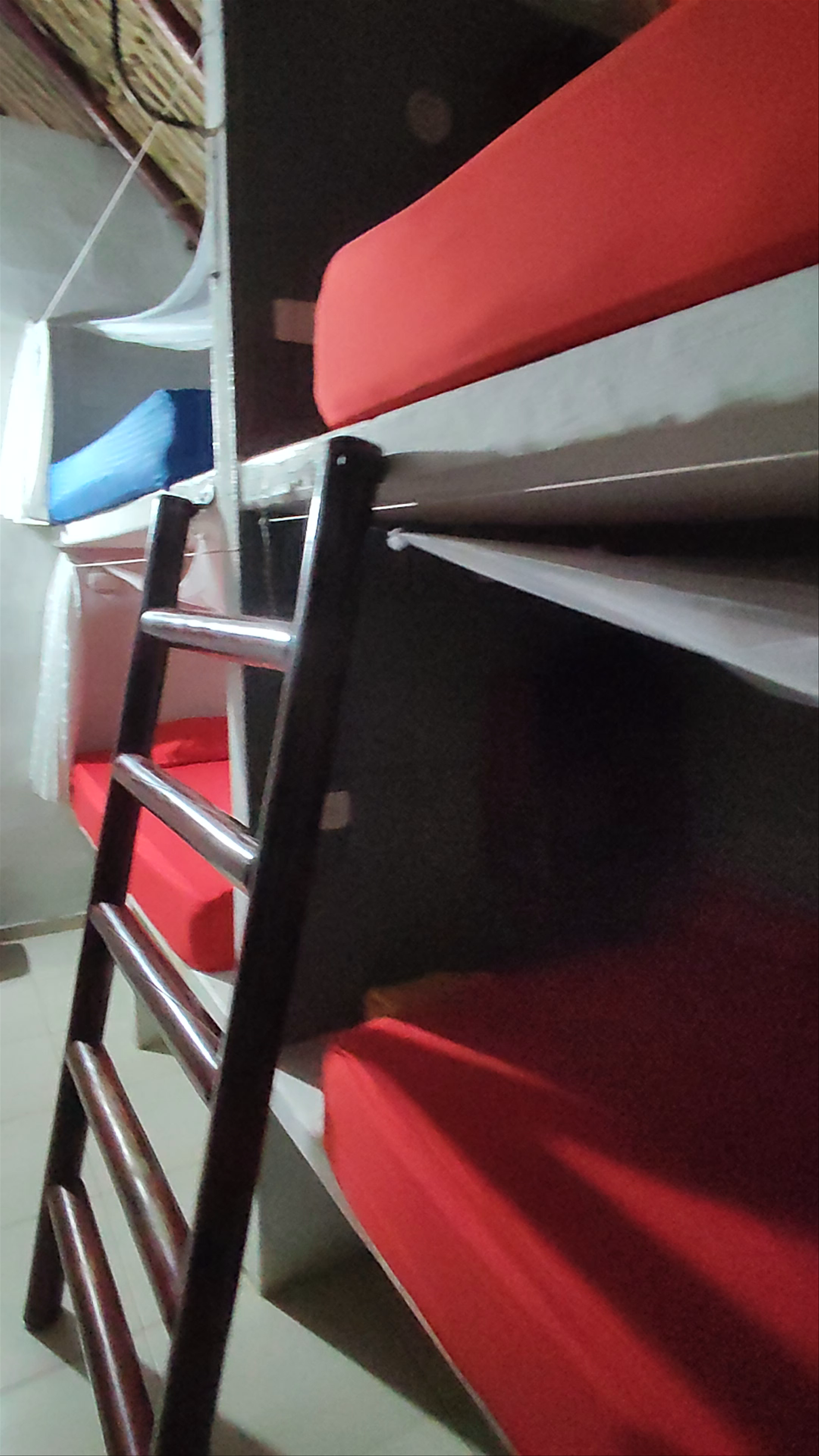 El Zoo Hostel & Pool