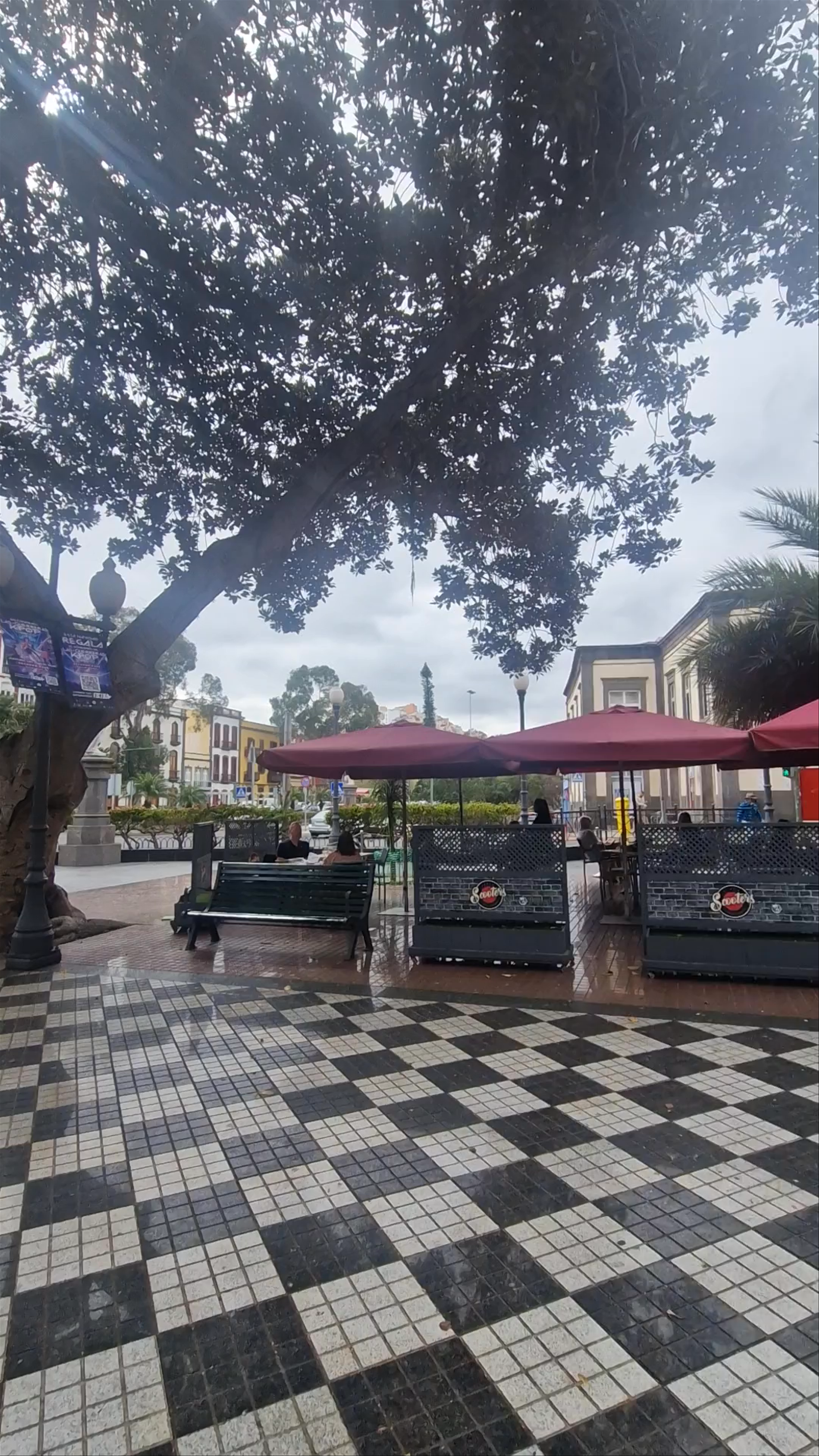 Plaza de las Ranas