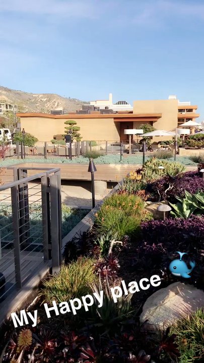 Little Beach House - Breakfast & Brunch Near Me - Malibu, California