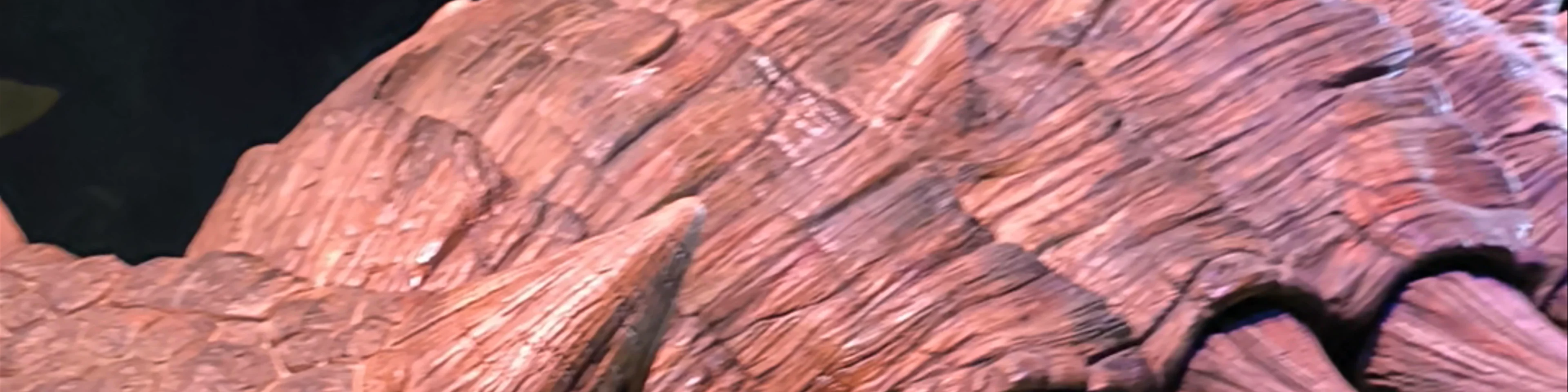 Jurassic World: The Experience Bangkok