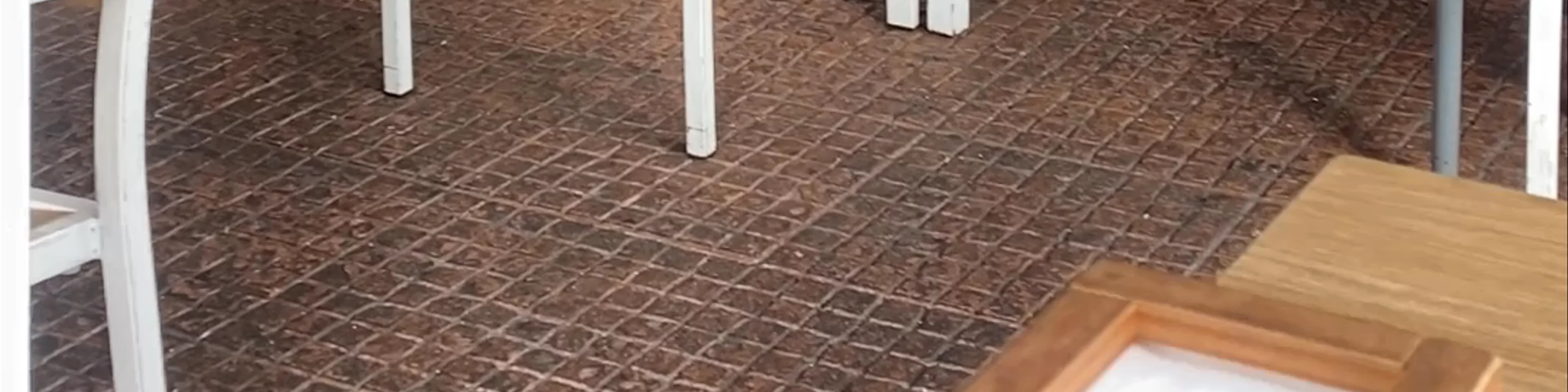 El Viñedo