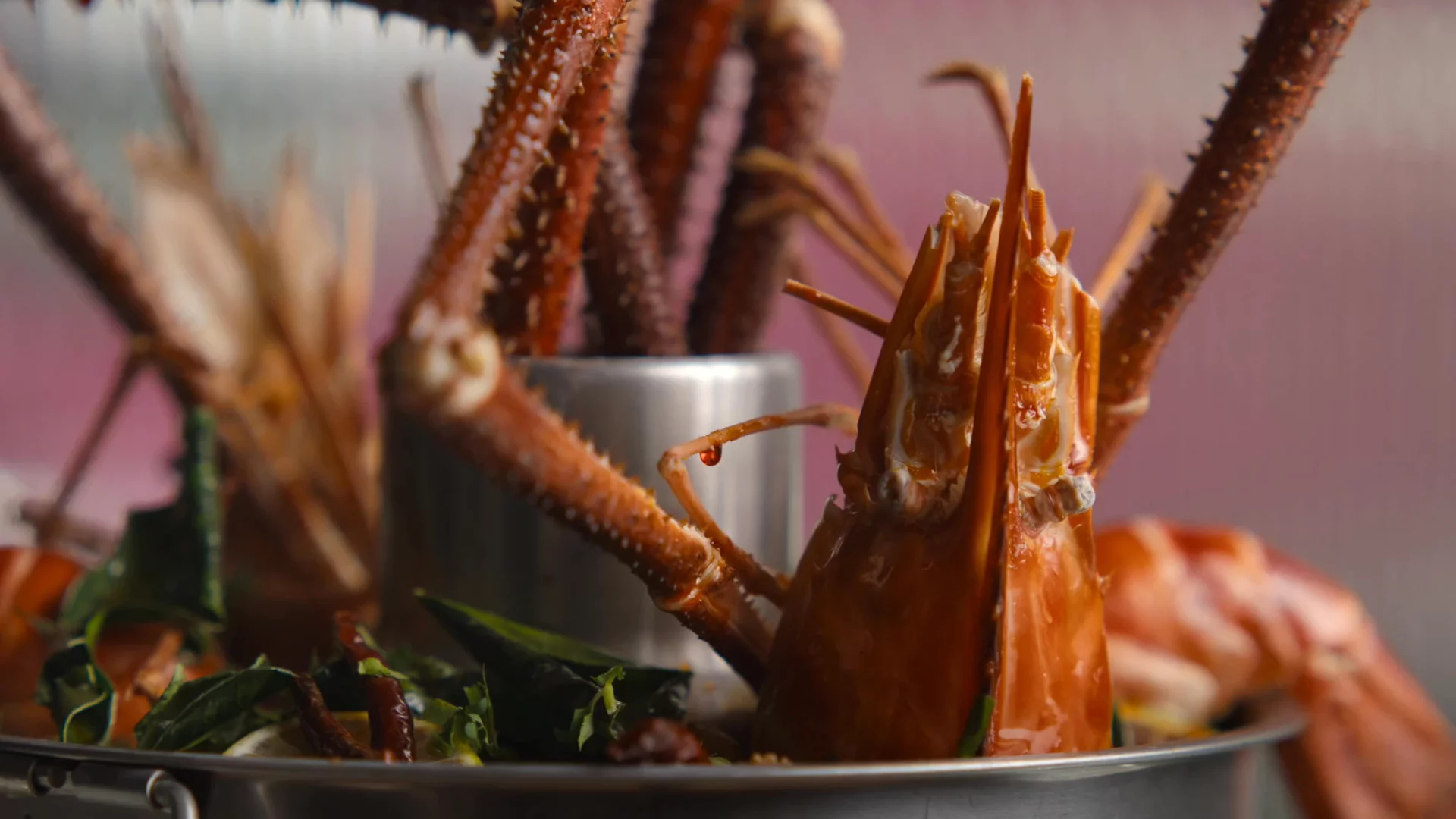 Jessica Rather Portfolio - 2025