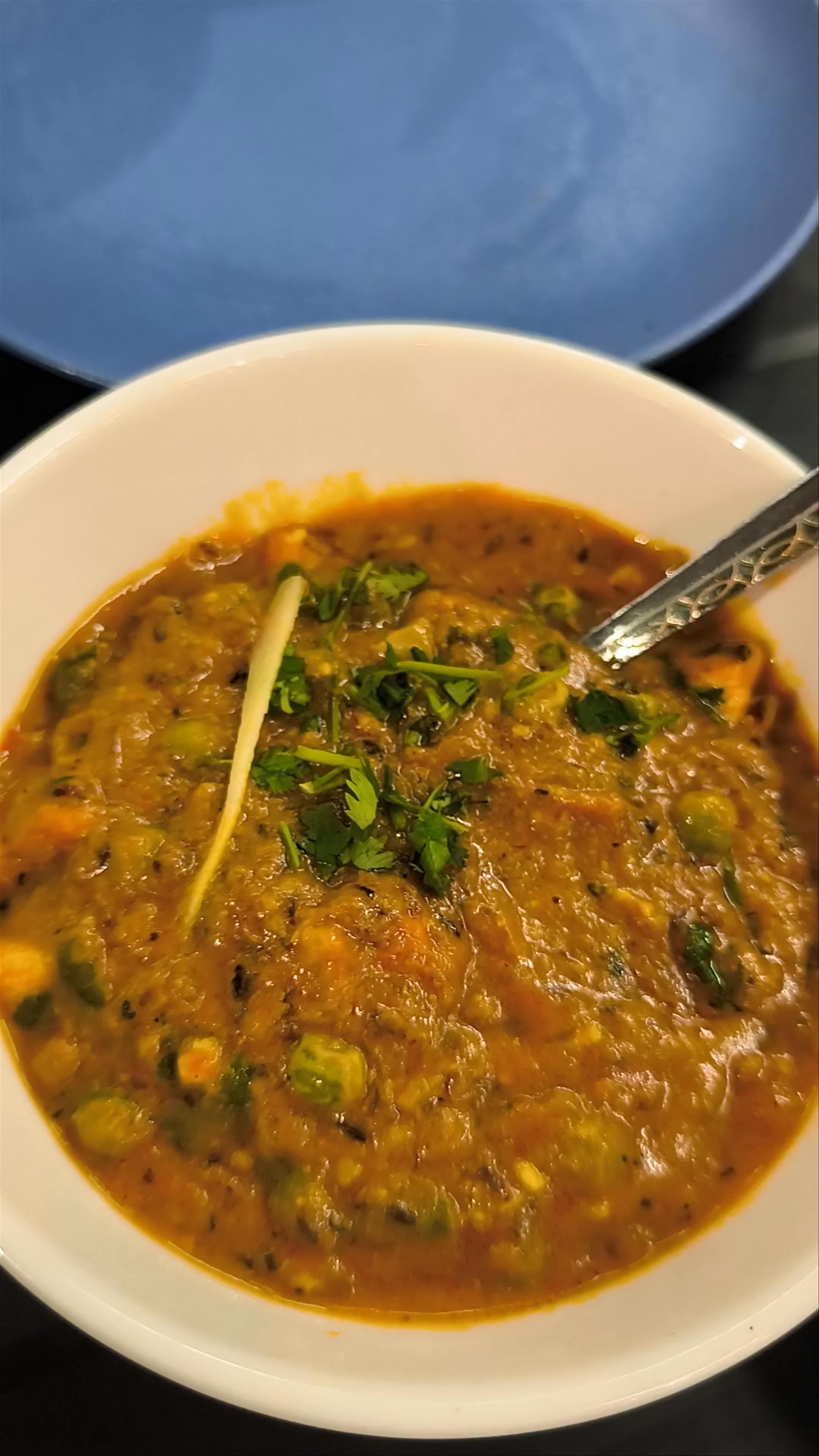 Indian Fusion Food North Indian restaurant vegetarian & non vegetarian