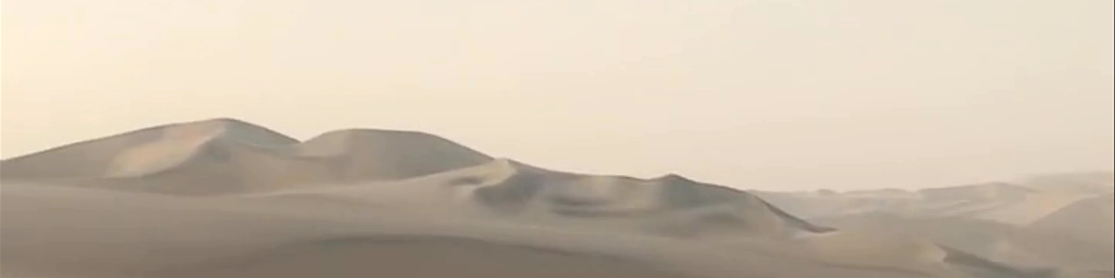 Desert Adventures
