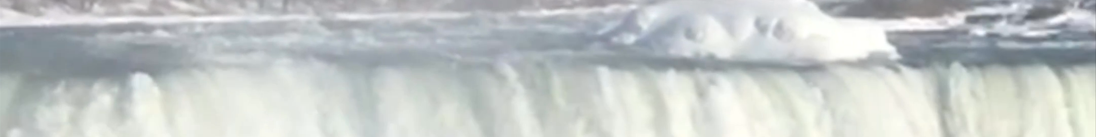 Tours & experiences in Ontario
