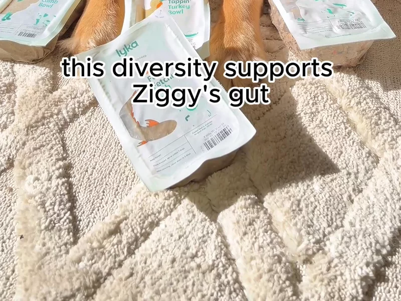 Pet food UGC