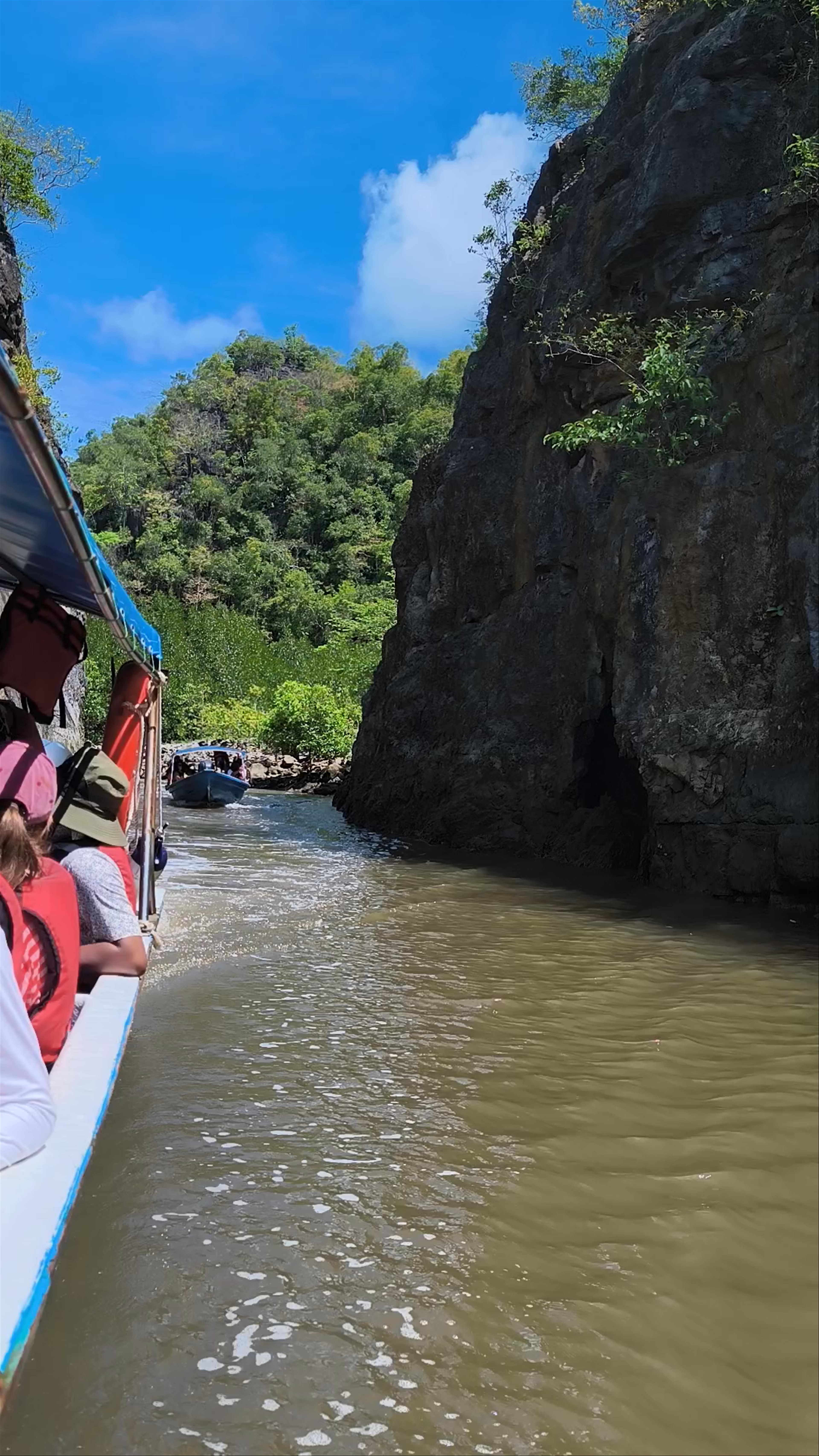 Langkawi "Grand Canyon" Mangrove passageway