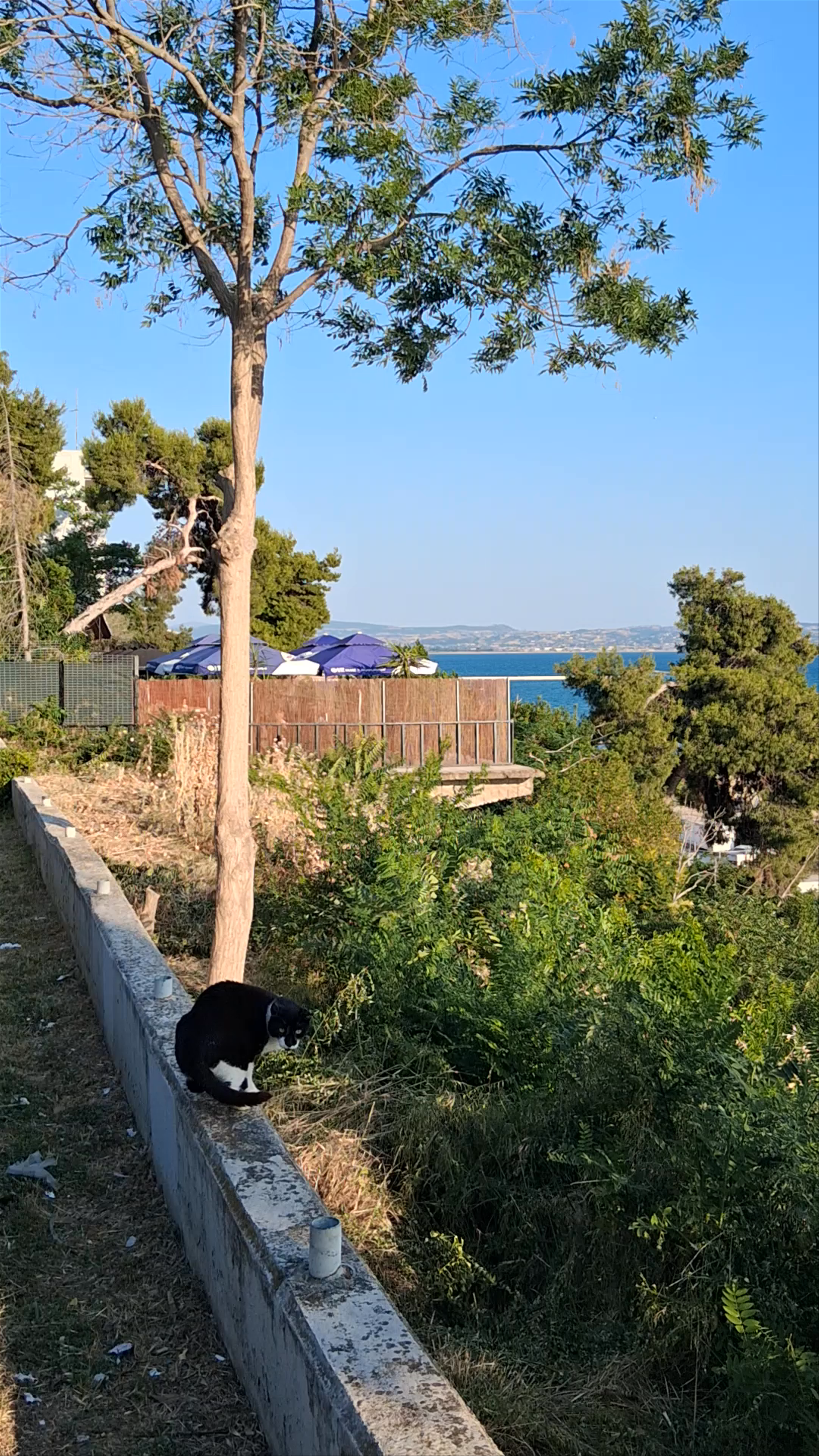 Aretsou Marina Thessaloniki