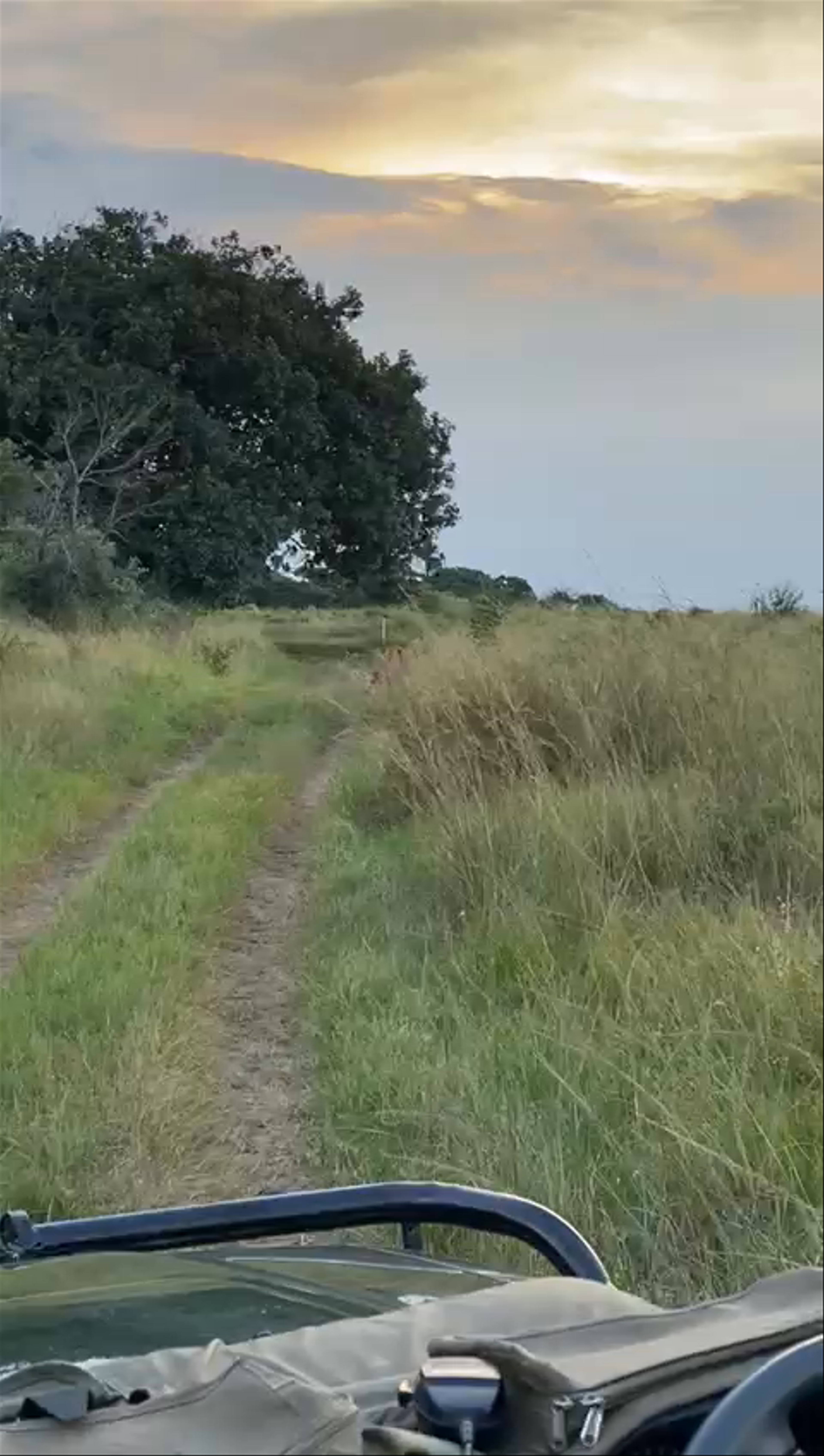 Epic Sunset Safari Drive Through Queen Elizabeth National Park, Uganda