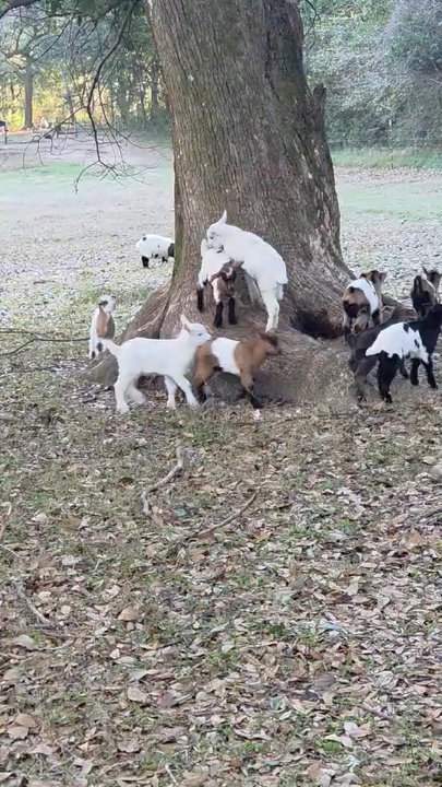 Fairhope Farm - Venues & Event Spaces Near Me - Fairhope, Alabama