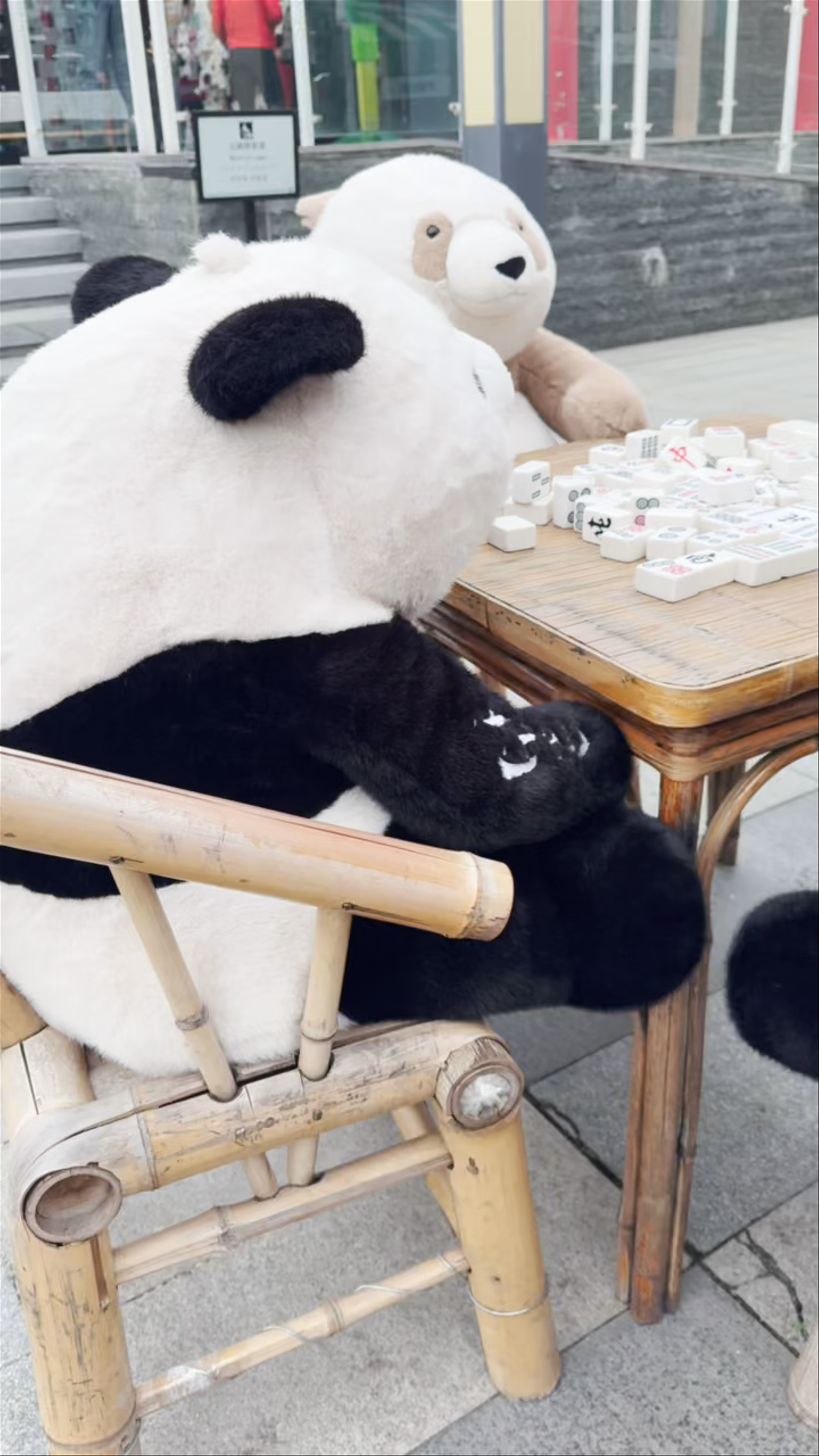 Playful Panda Moments at Chengdu Panda Museum