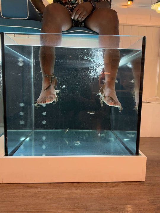 AquaBliss Fish Spa - Day Spas Near Me - Barcelona, B