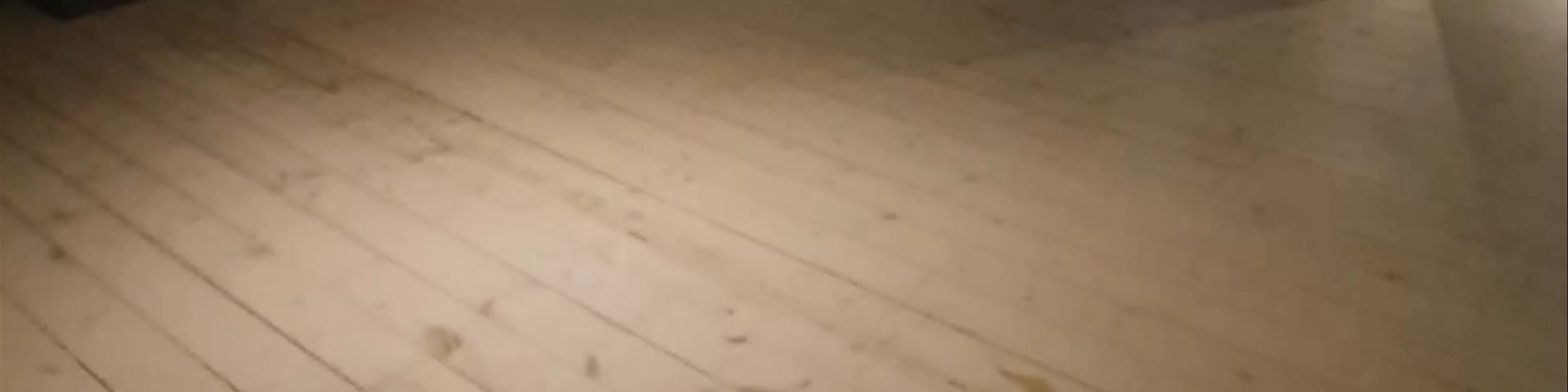 Arktikum