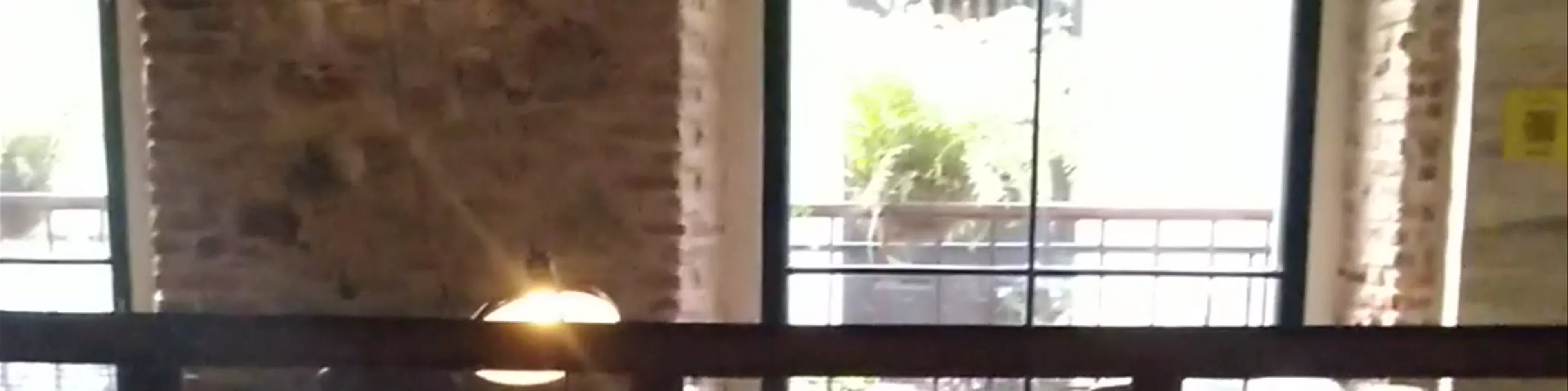 La Rana Dorada Casco