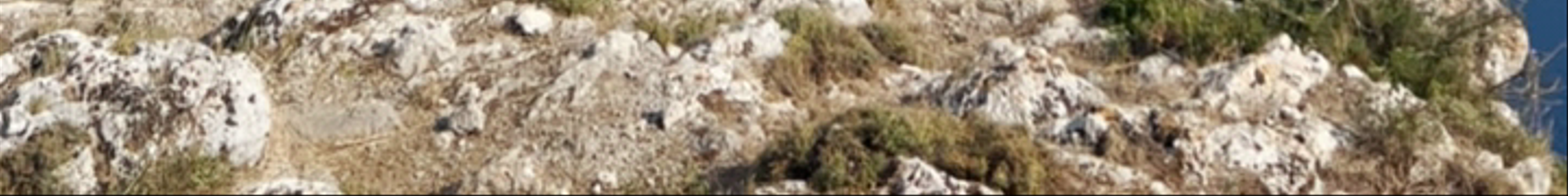 Tours & experiences in Anacapri