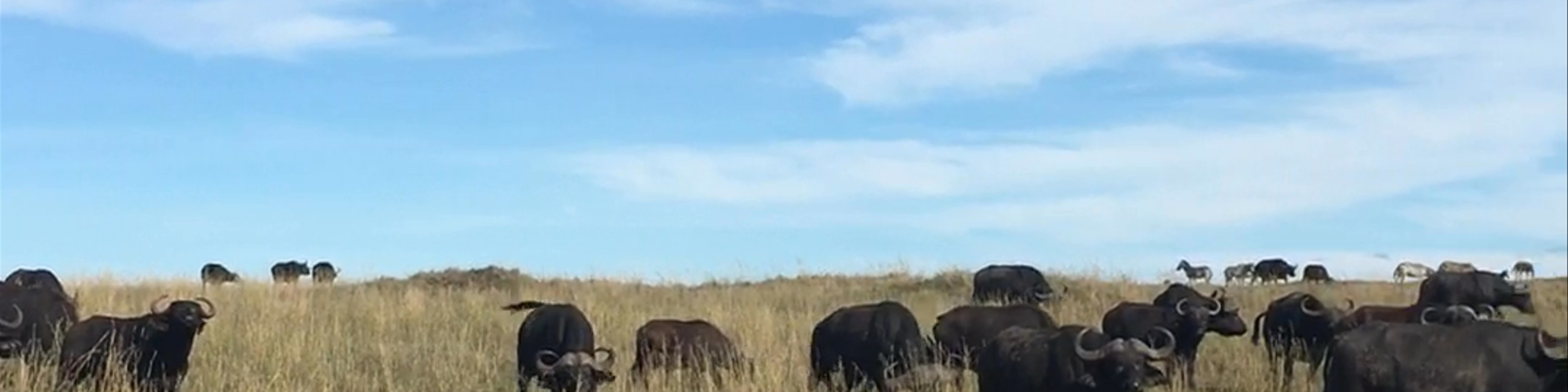 Kenya