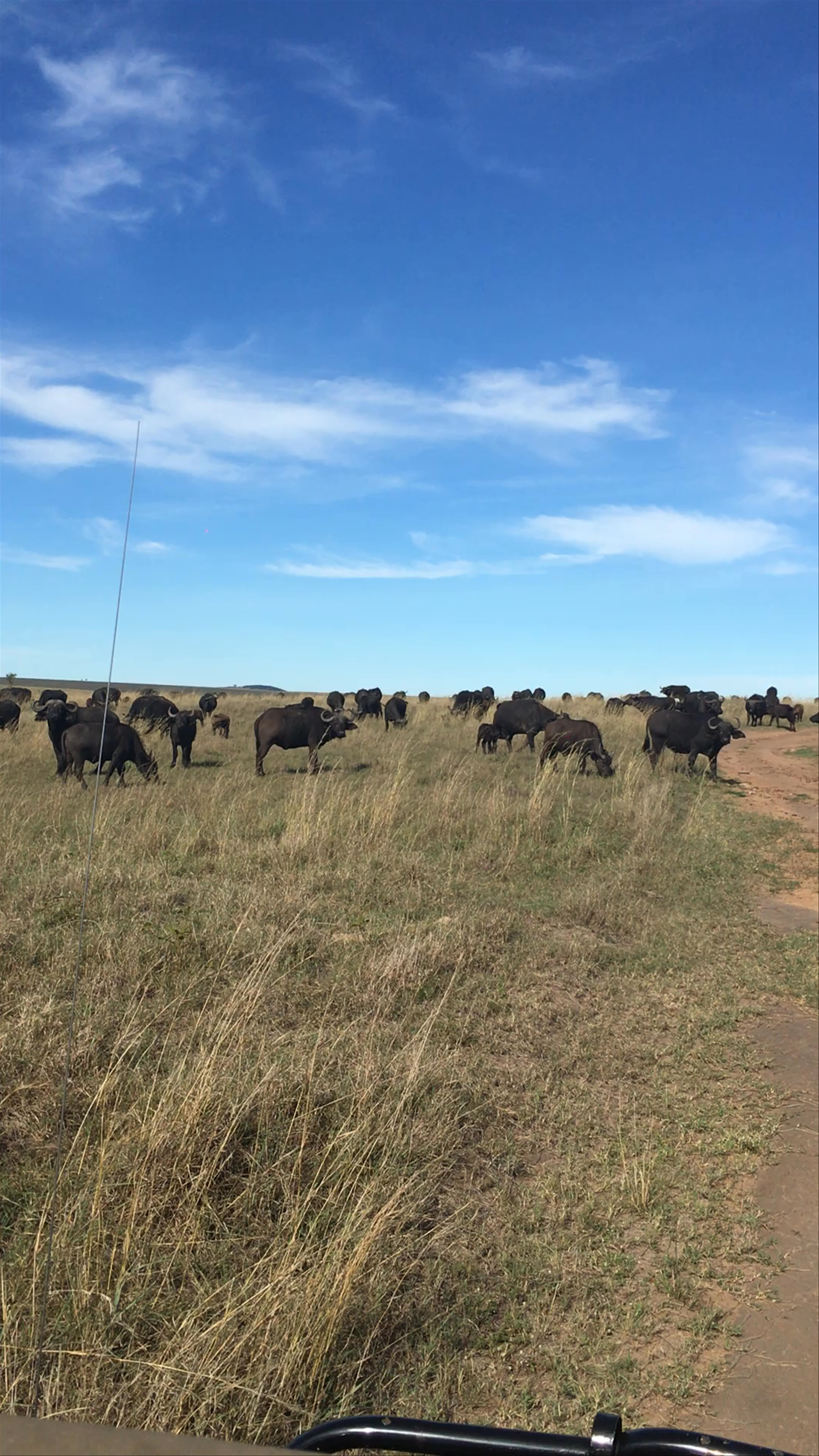 Maasai Mara National Reserve
