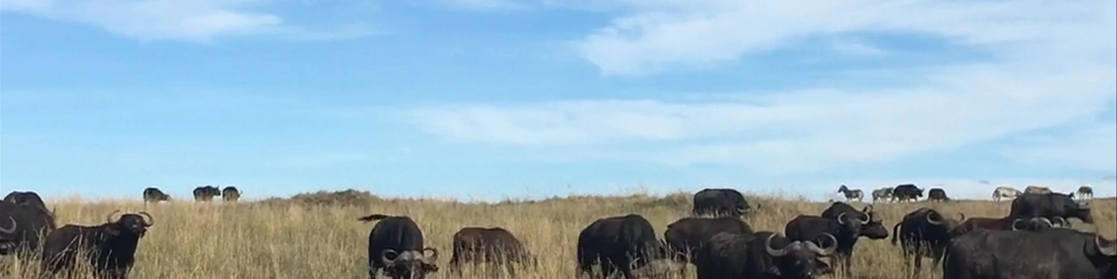 Maasai Mara National Reserve