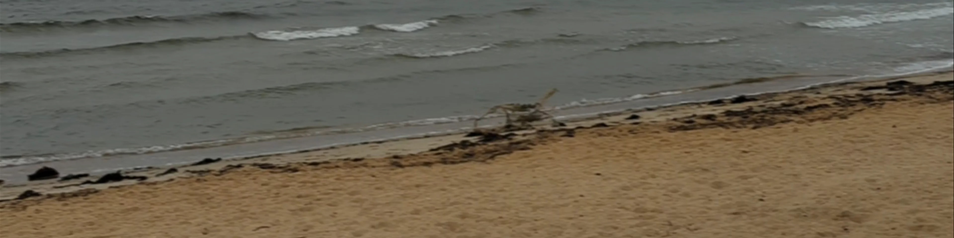 Williamstown beach