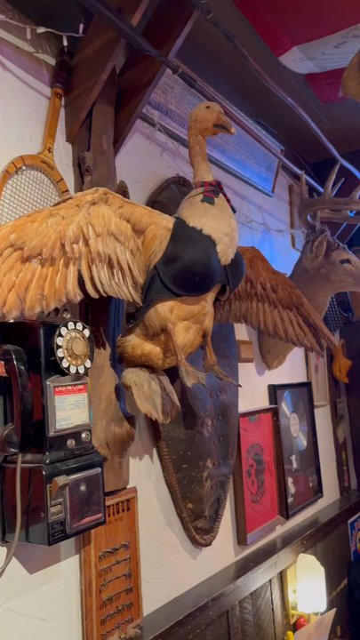 Mitchell Street Pub - What?!? - Pubs Near Me - Petoskey, Michigan