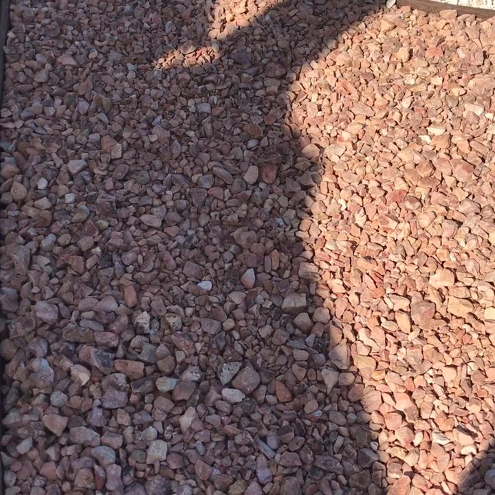 Design Builder's Group - Beautiful front yard drought tolerant landscape - General Contractors Near Me - Van Nuys, California
