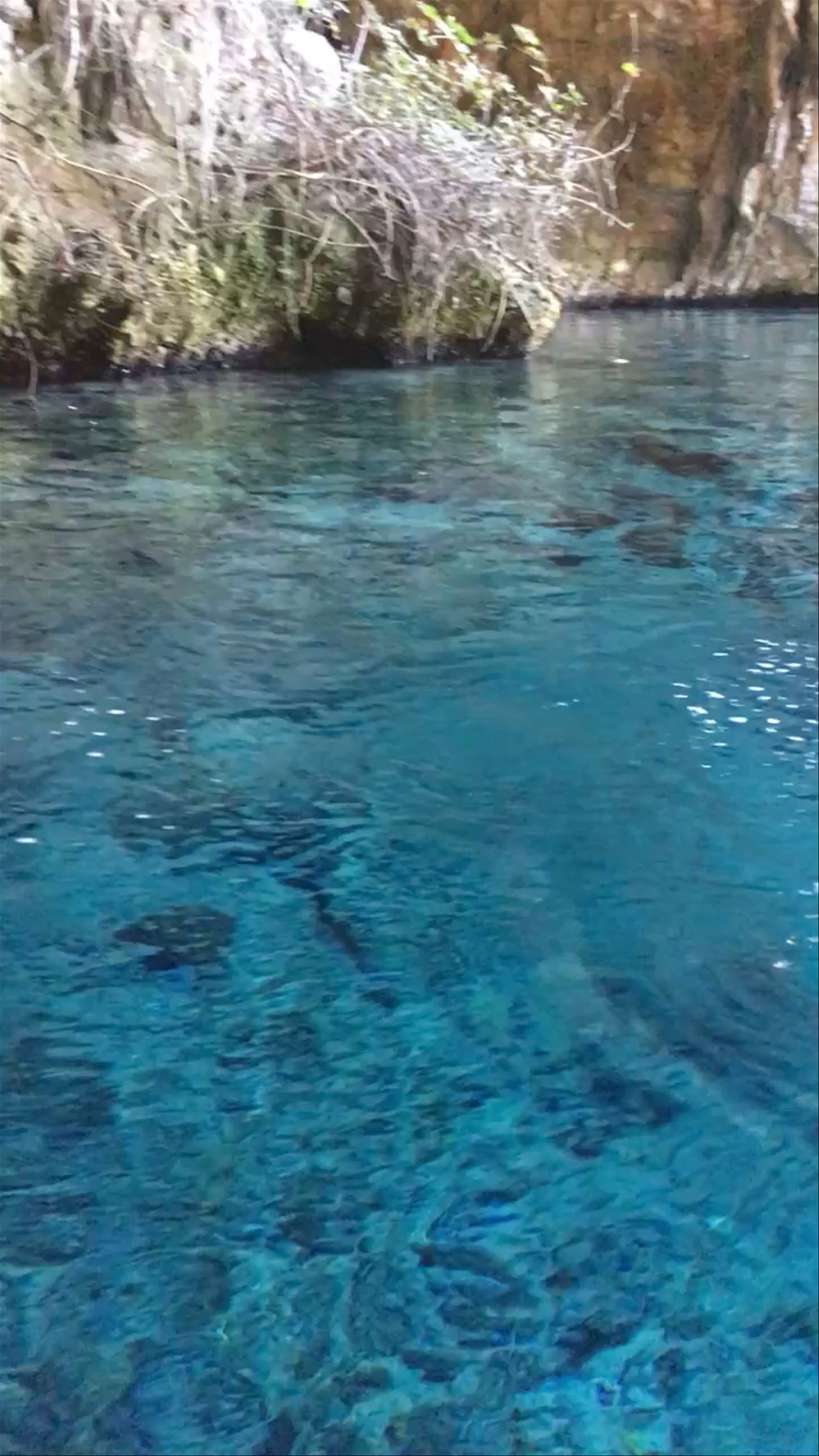 Melissani Cave: Magical Blue Waters in Sami, Greece