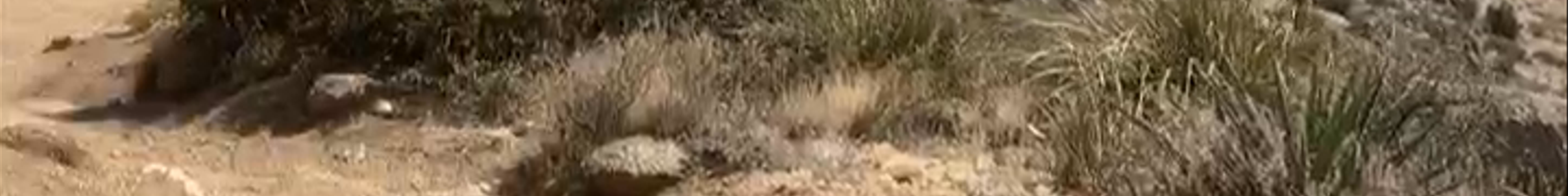 Tours & experiences in New Mexico