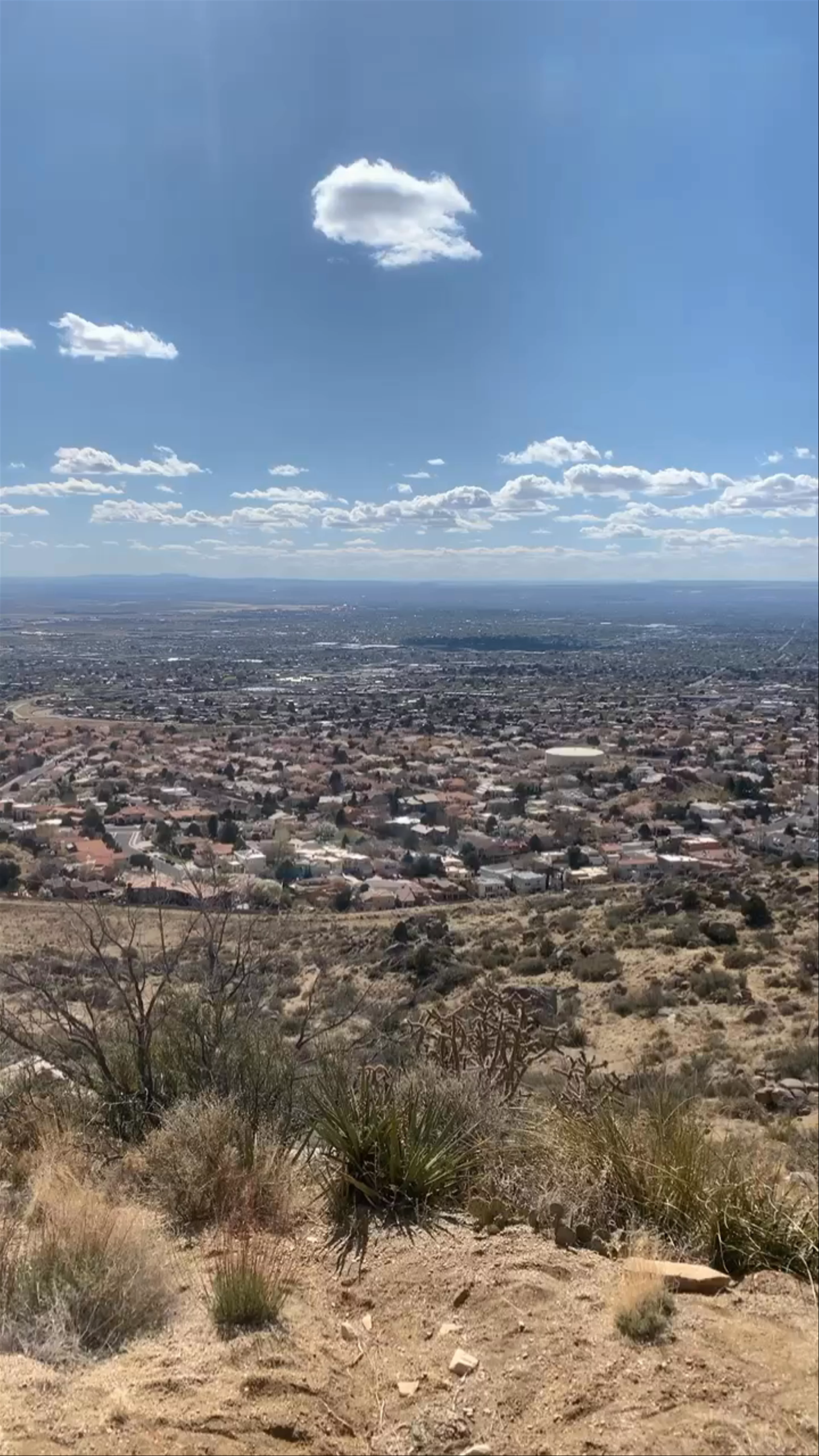 Albuquerque