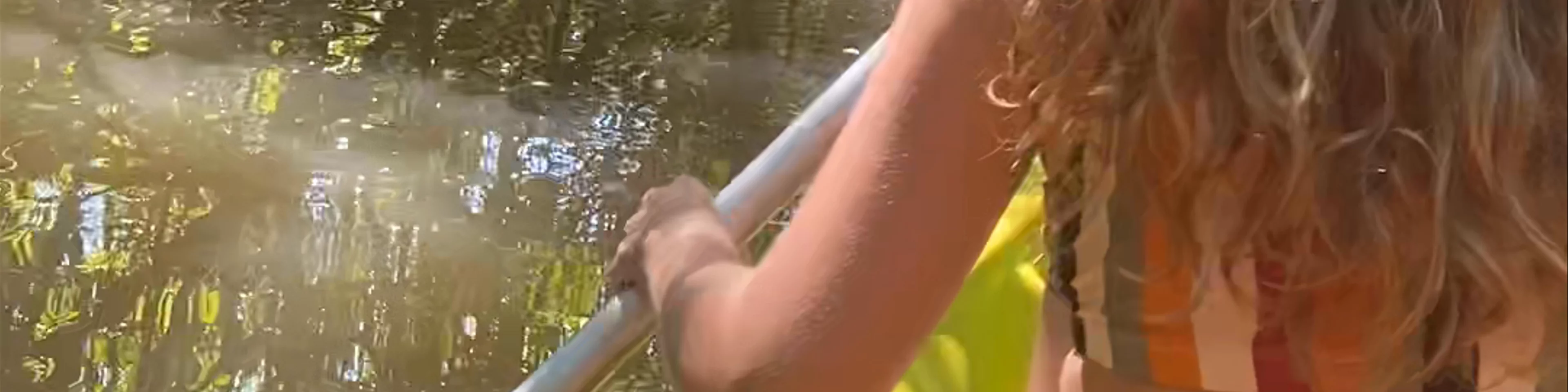 Mangrove Kayak Tour