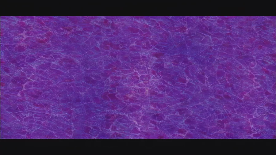 Untitled 10