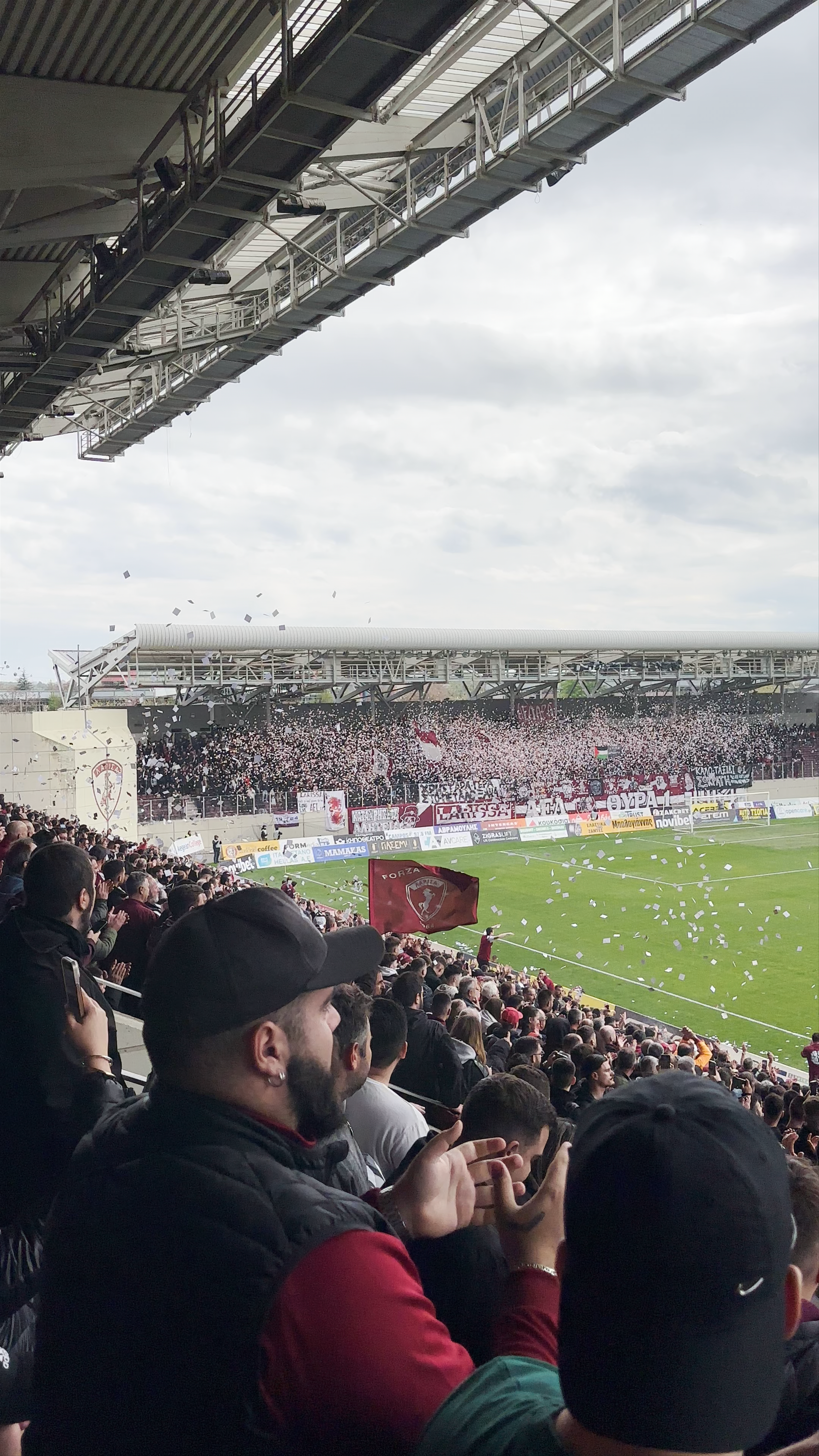 AEL F.C. Arena
