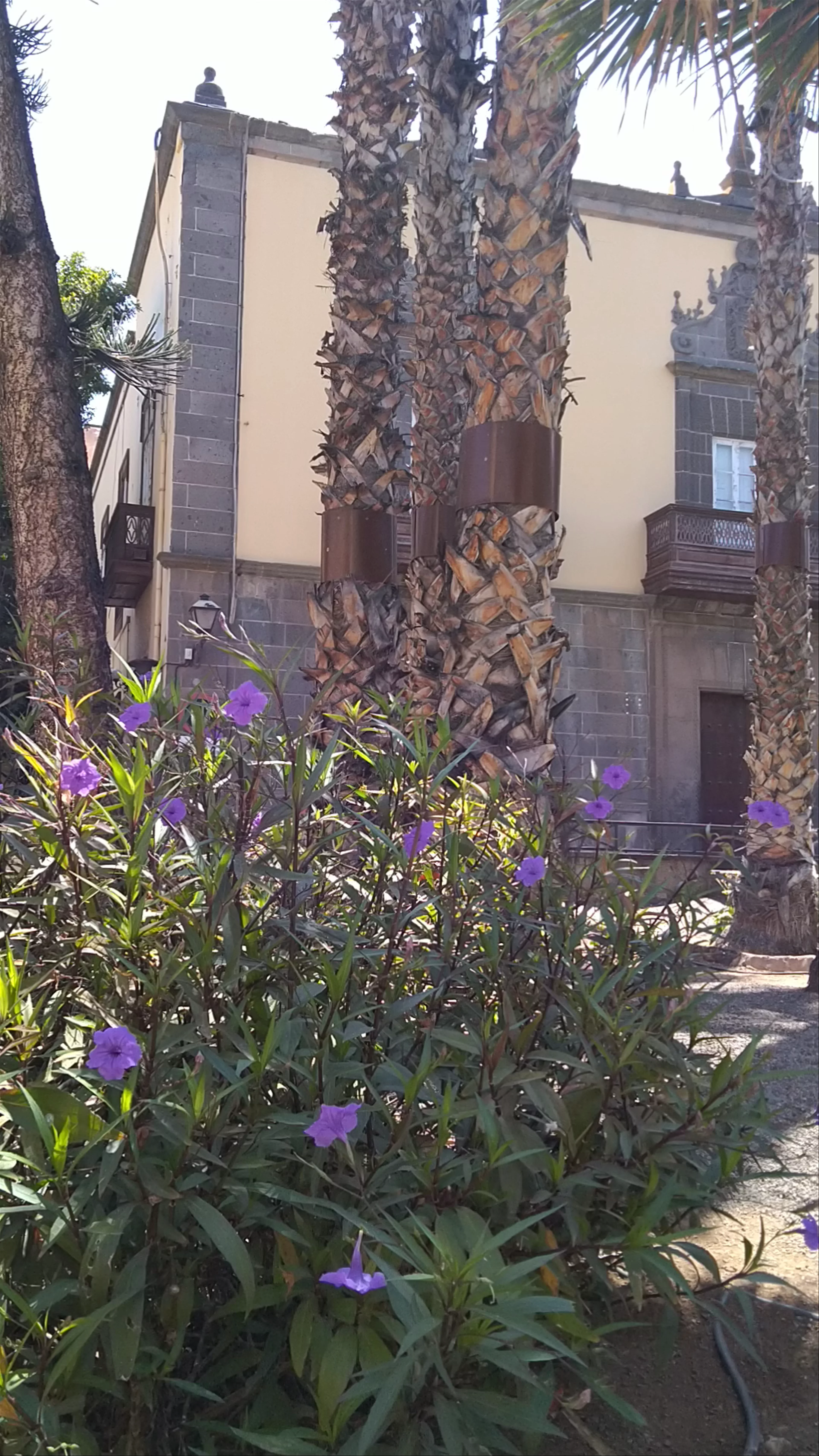 Plaza del Espíritu Santo, Las Palmas de Gran Canaria, Spain