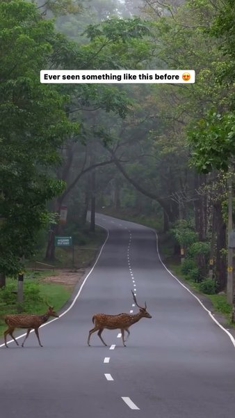 Photo of This shot was taken 