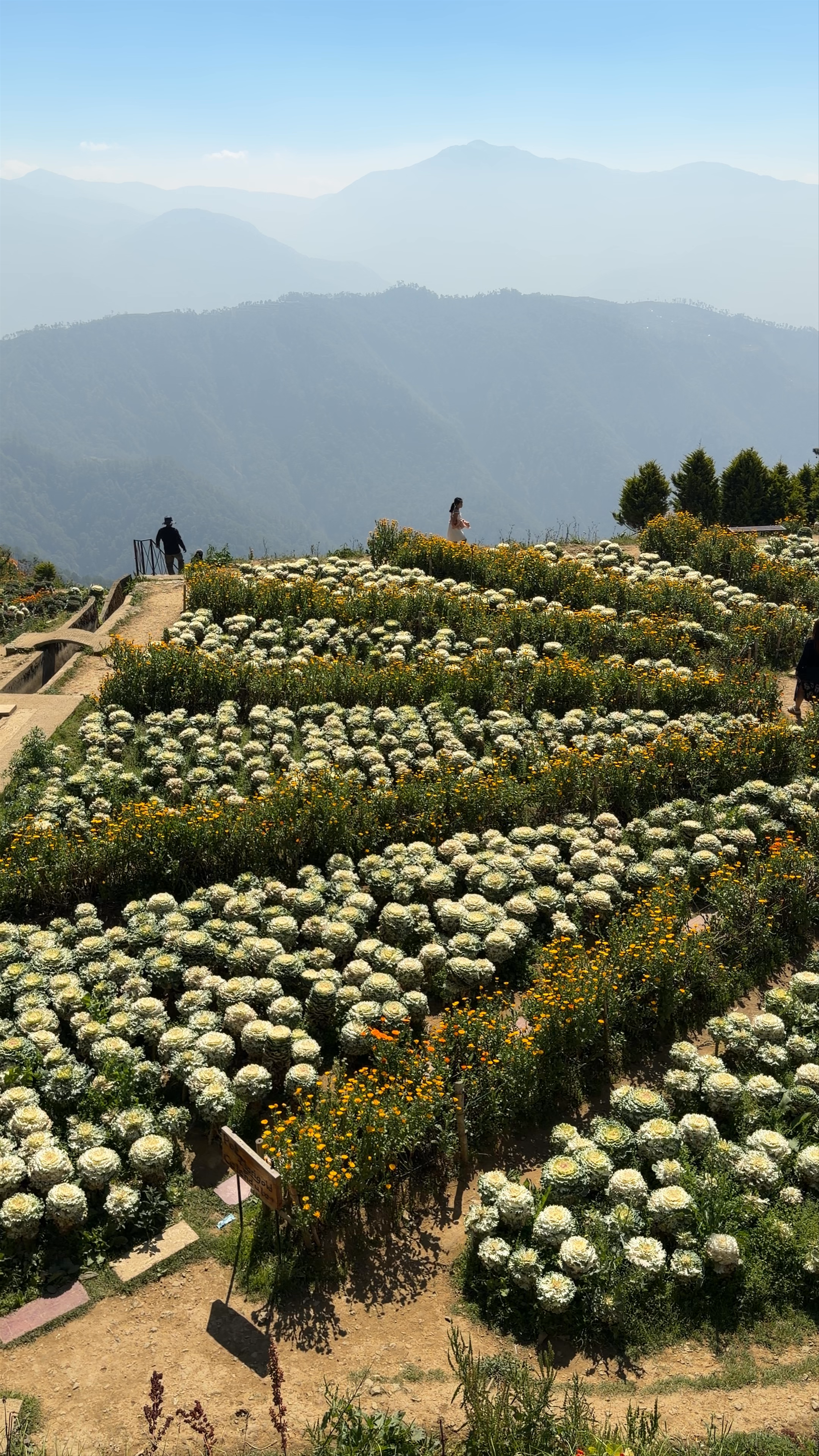 Northern Blossom Flower Farm