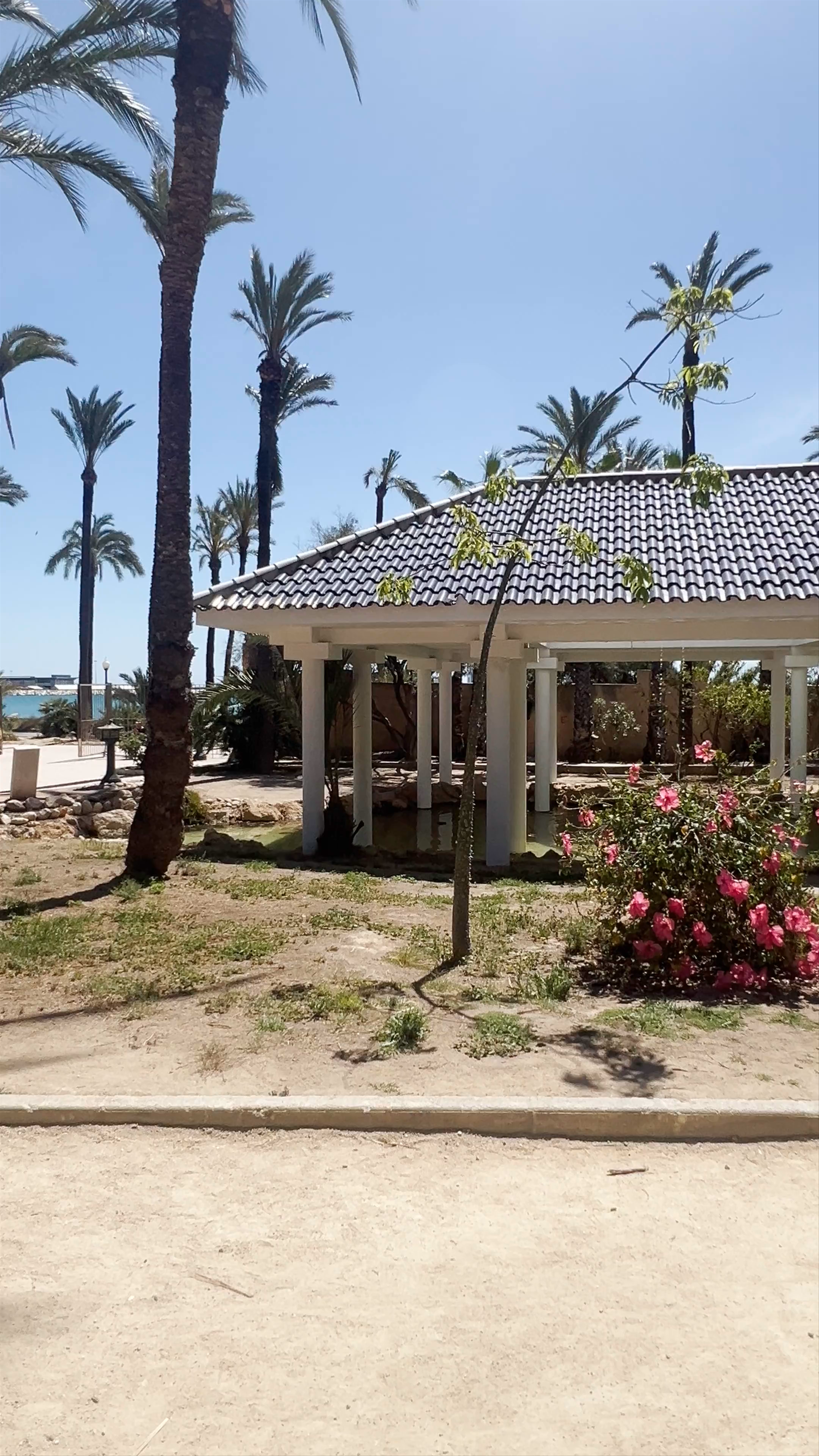 Tranquil Oasis at Parque El Palmeral in Alicante