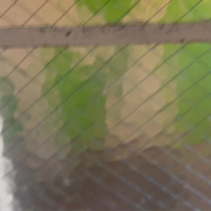 14 West - More filth on the inside windows - Hotels Near Me - Laguna Beach, California