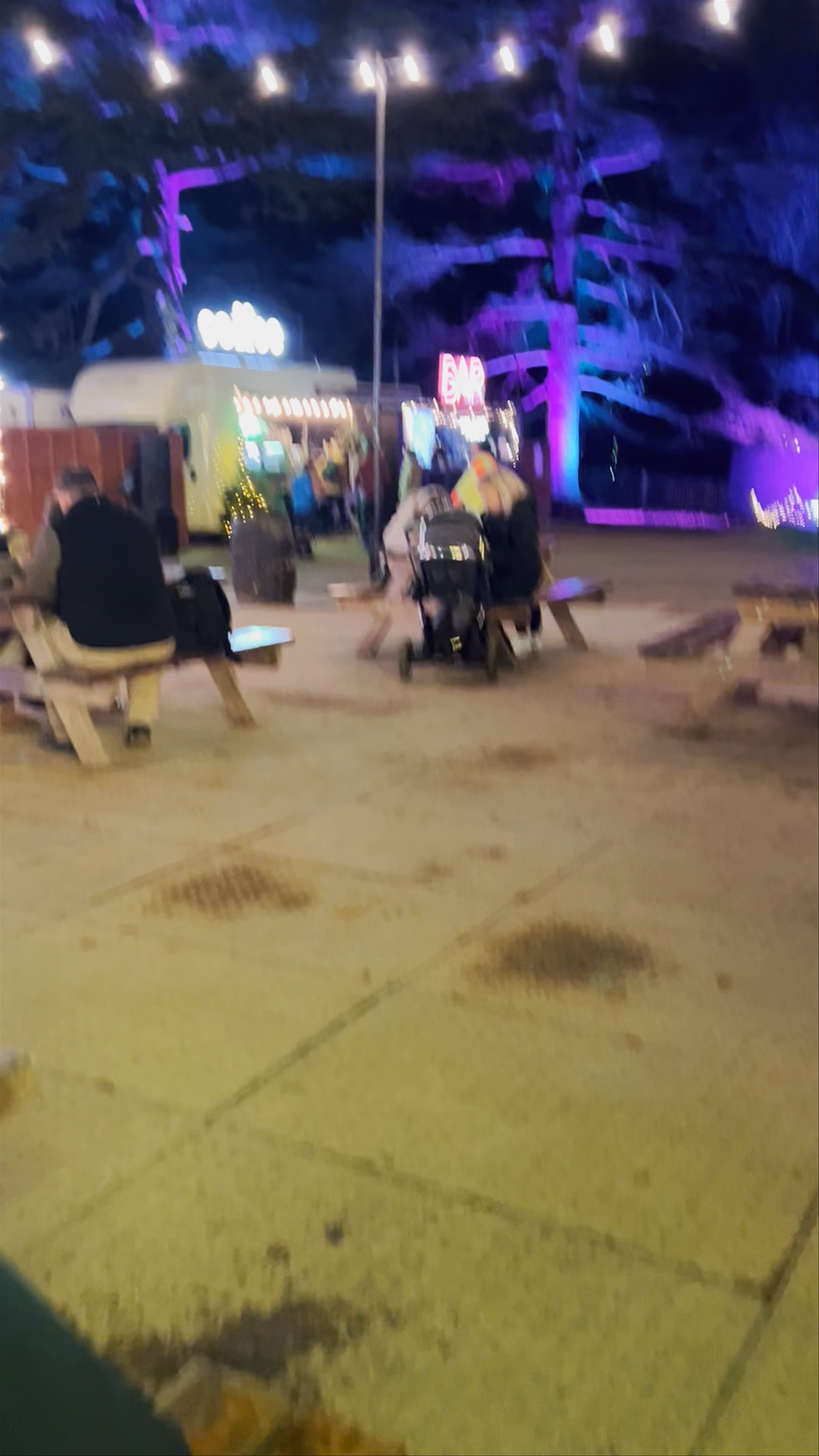 Windsor Great Park Illuminated