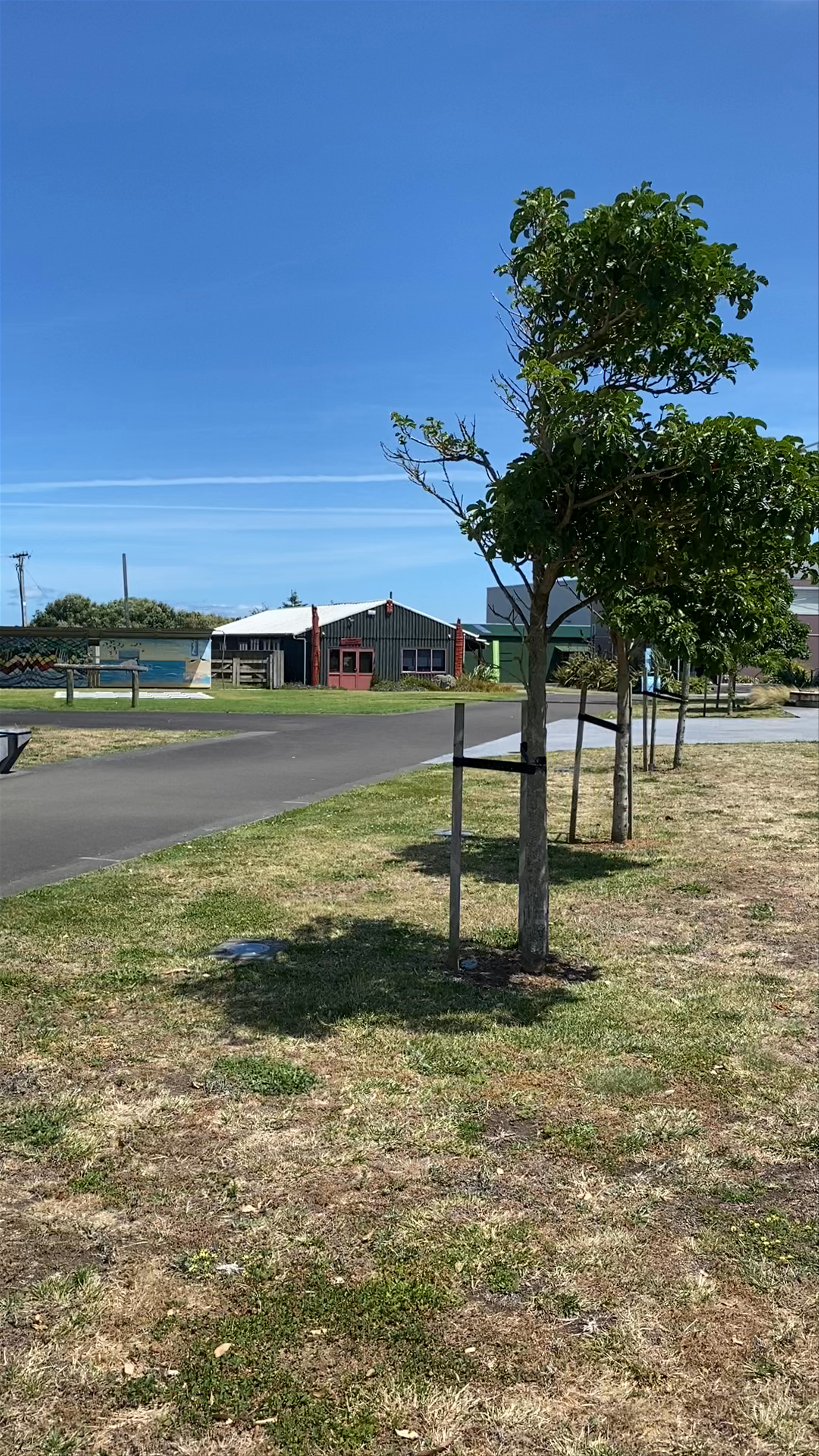 De Molen Main Street