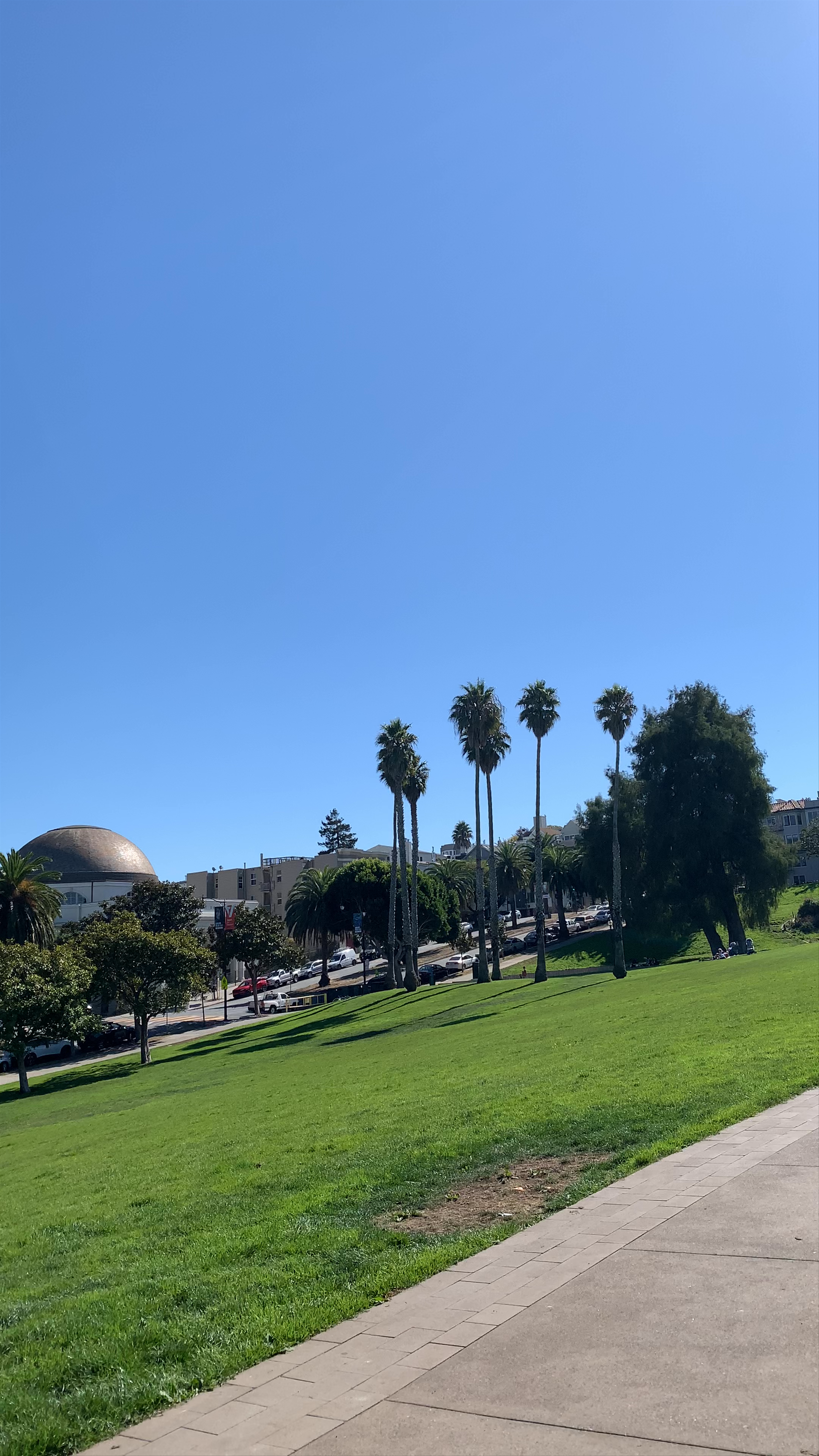Mission Dolores Park: Urban Oasis in San Francisco