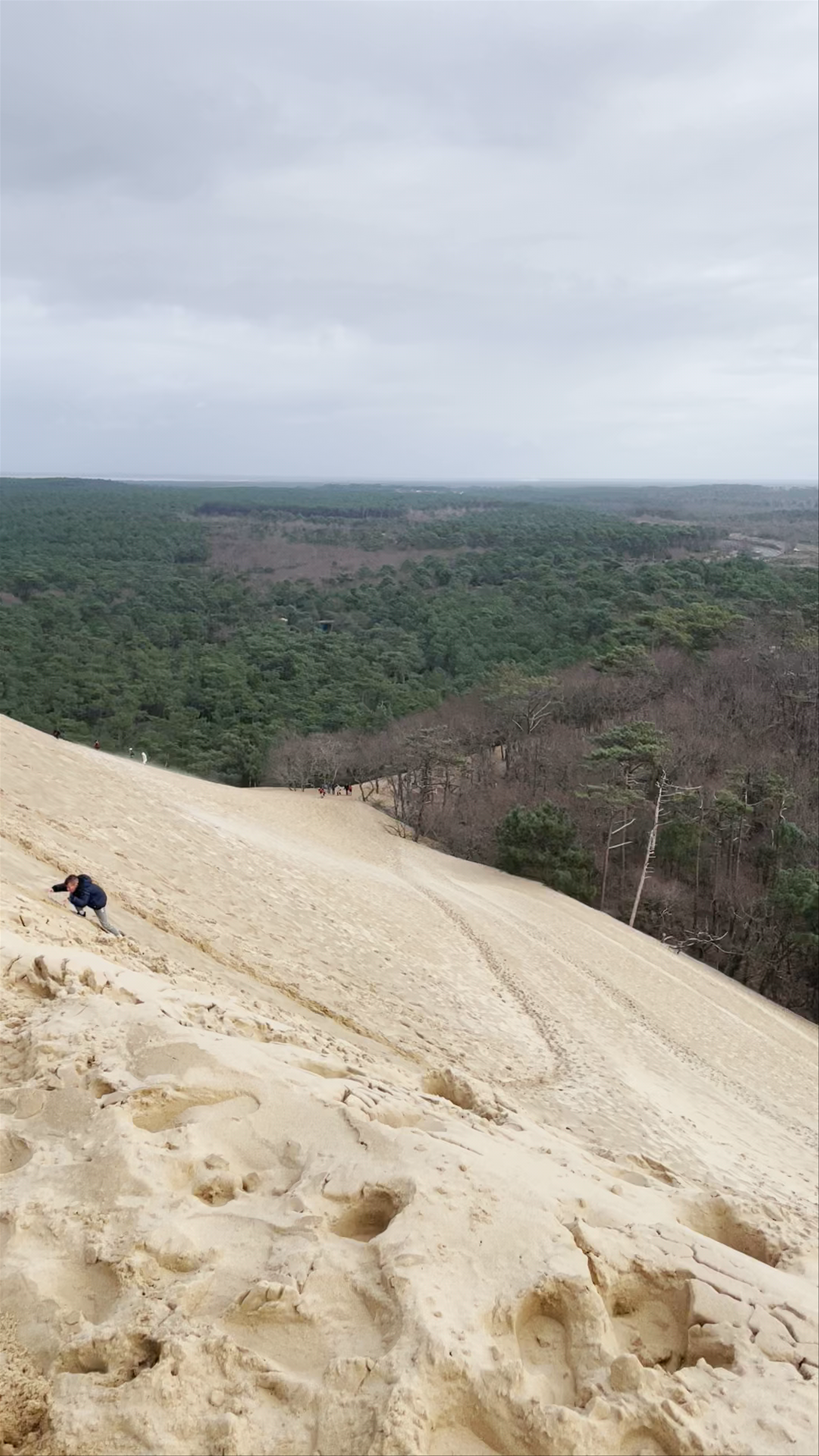 Dune du Pilat