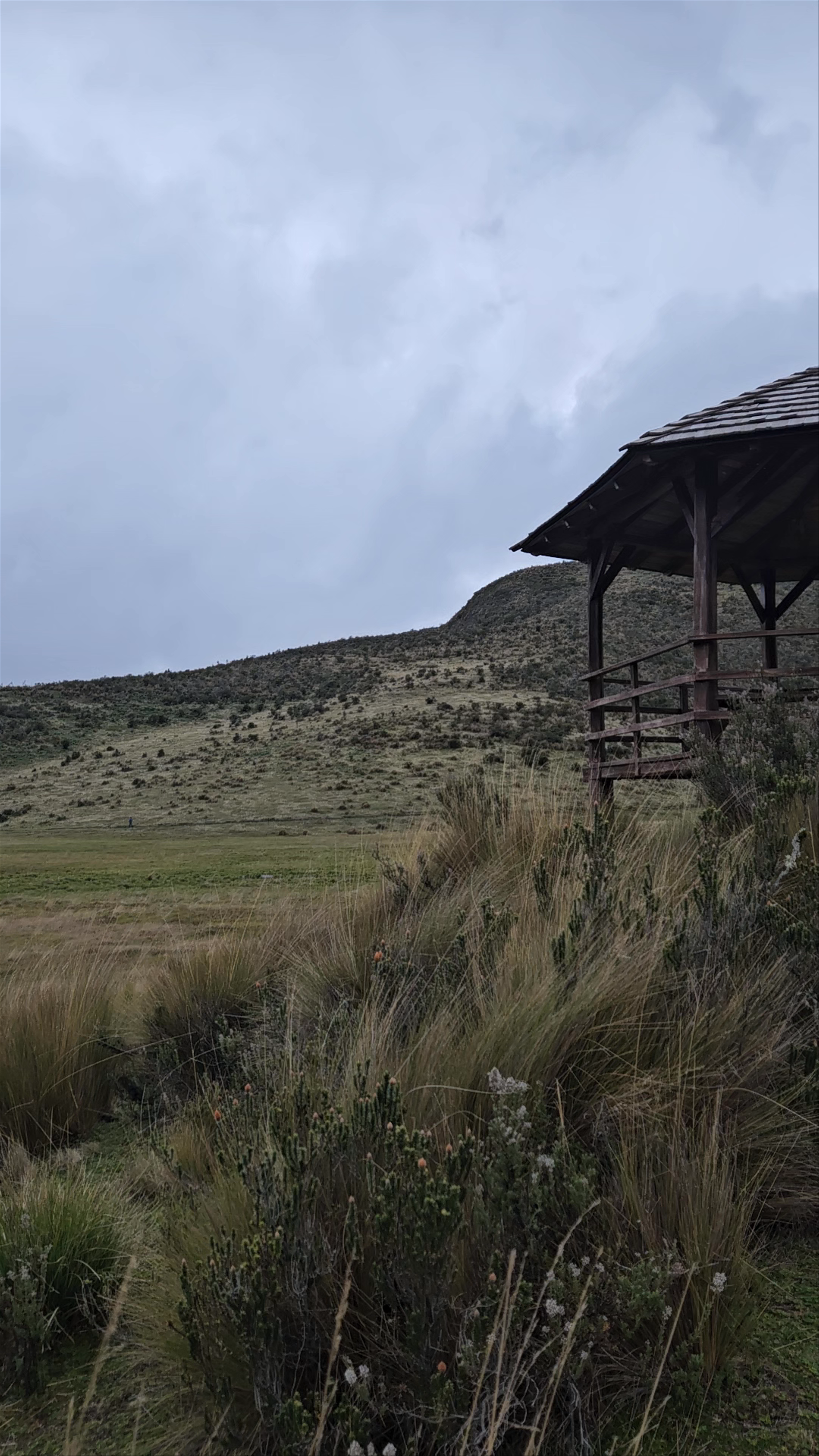Laguna De Limpiopungo