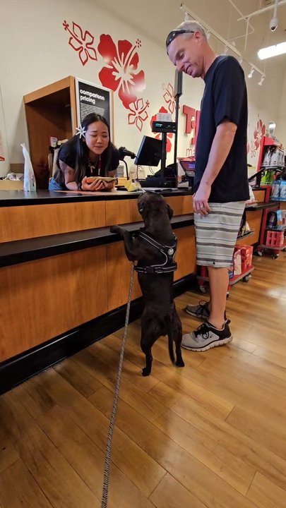 TJ Maxx - My dog and I love coming to shop here, they are more pet friendly than Petco. The staff is super awesome. Great selection good prices - Department Stores Near Me - Kapolei, Hawaii