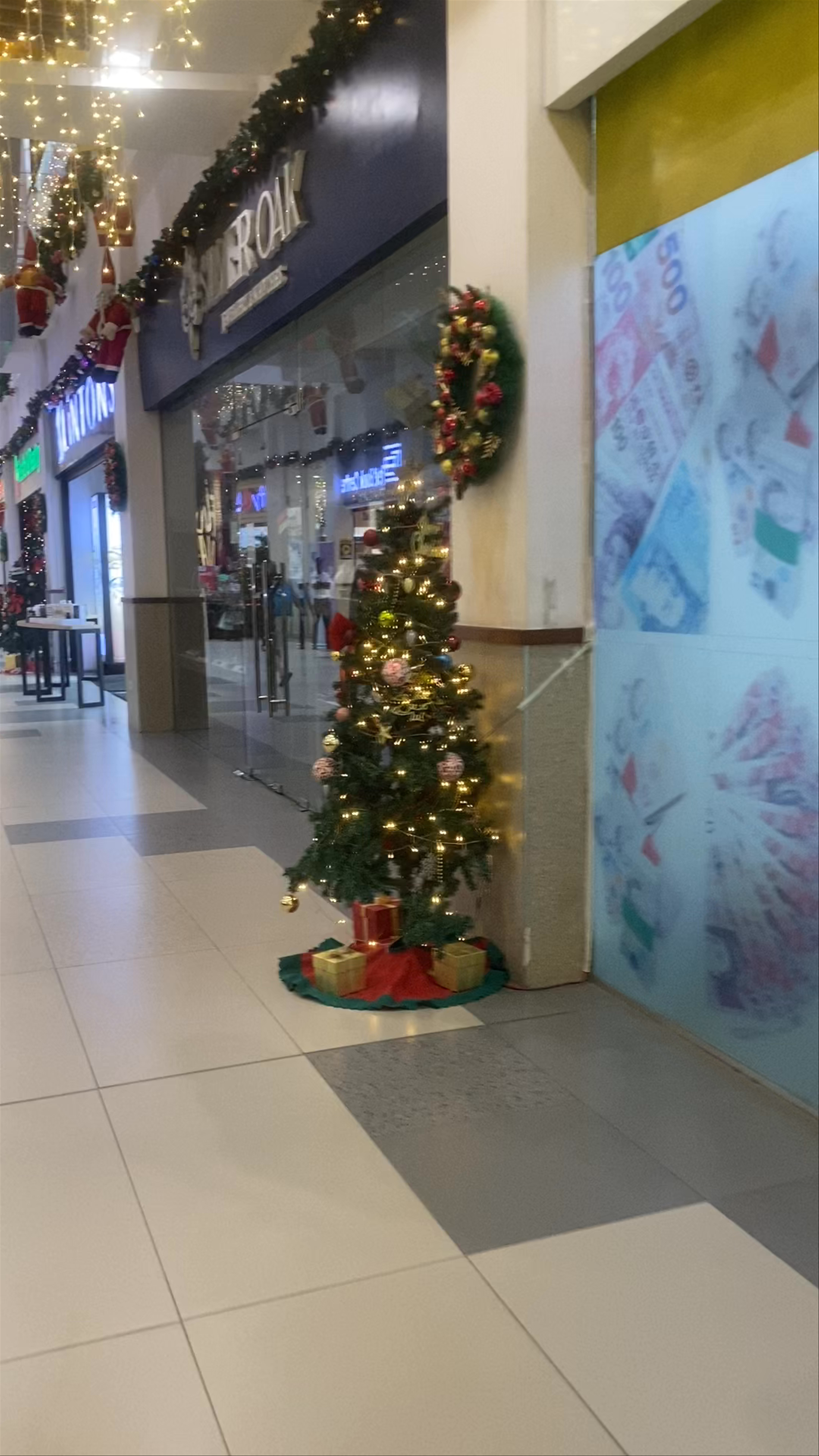 The Imaara Shopping Mall