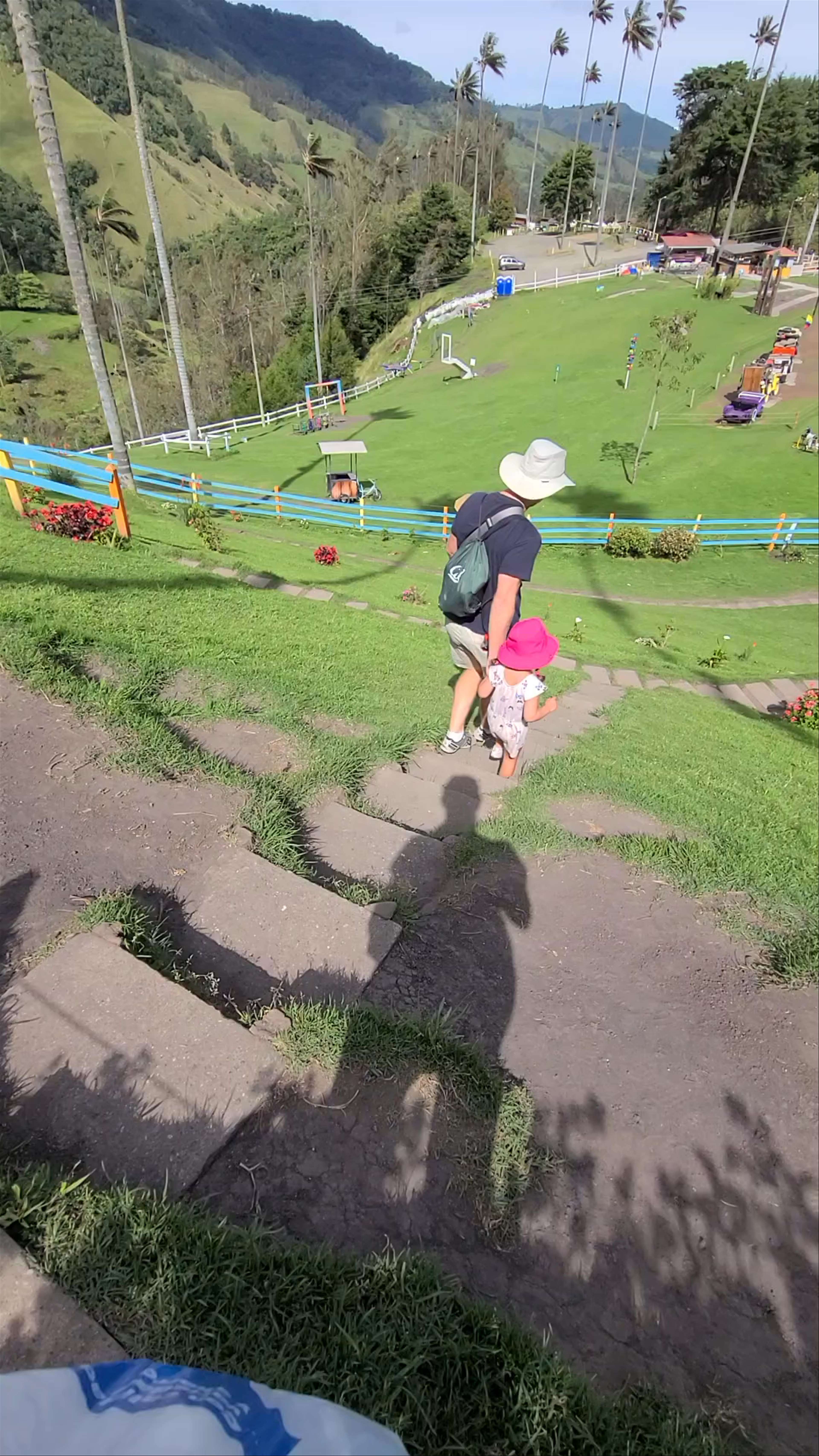 Cocora Valley