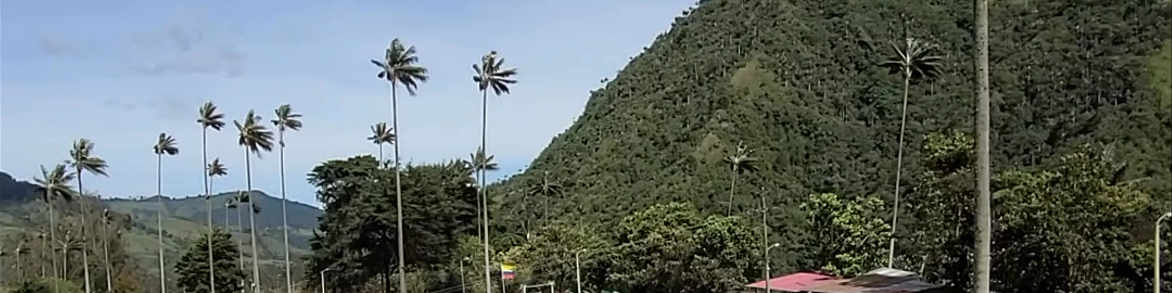 Cocora Valley