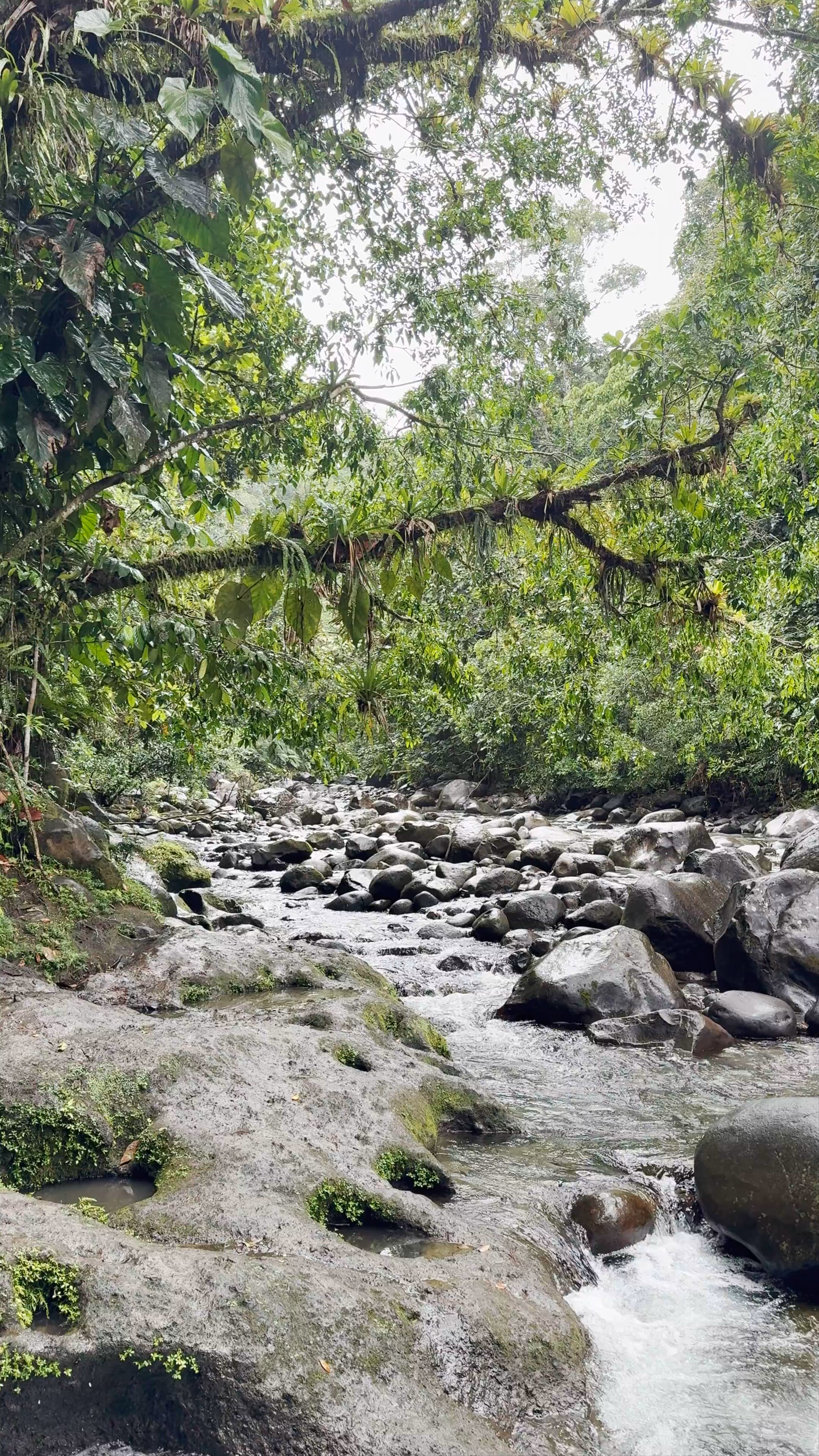 Cascade aux Ecrevisses