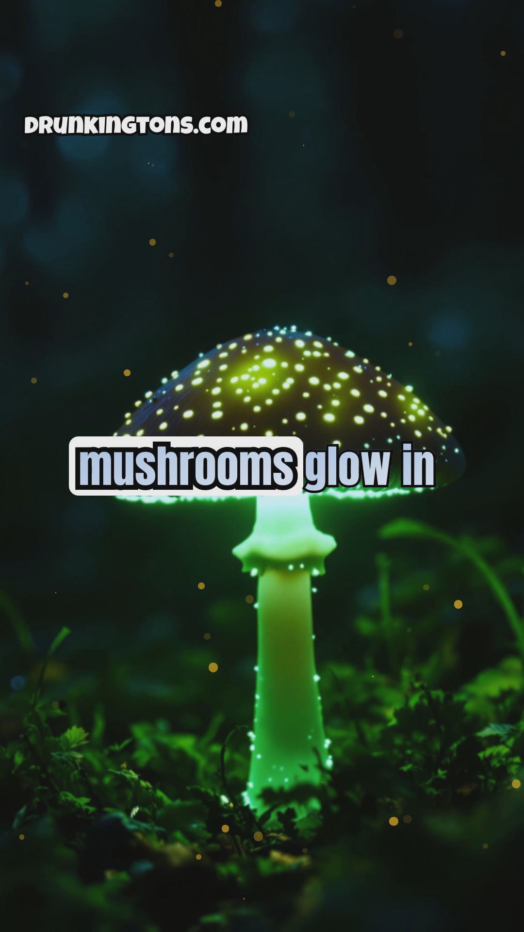 The World of Fungi: Fascinating Facts About Mushrooms and Molds