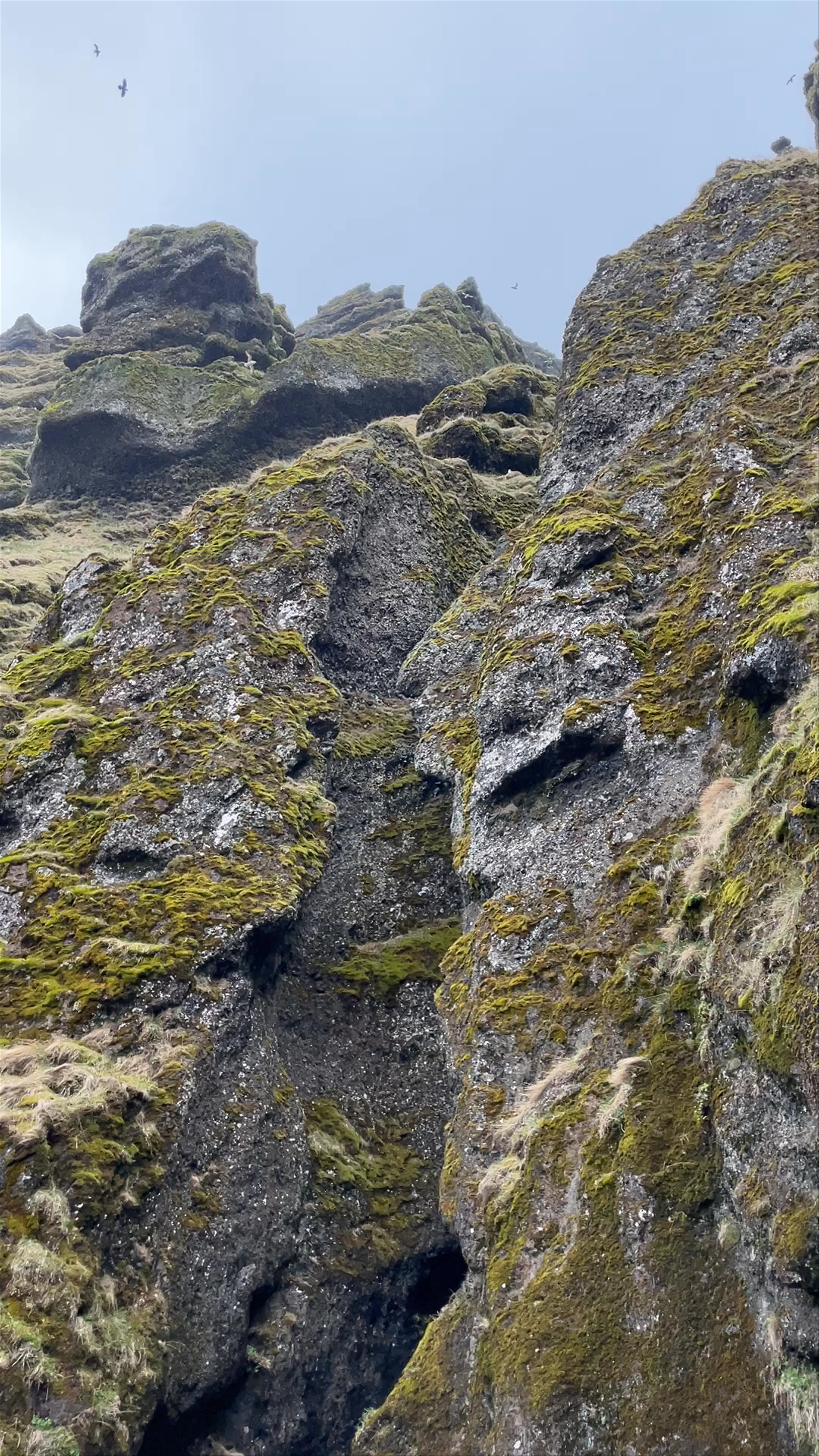 Rauðfeldsgjá Gorge: Mystical Canyon Adventure in Hellnar, Iceland