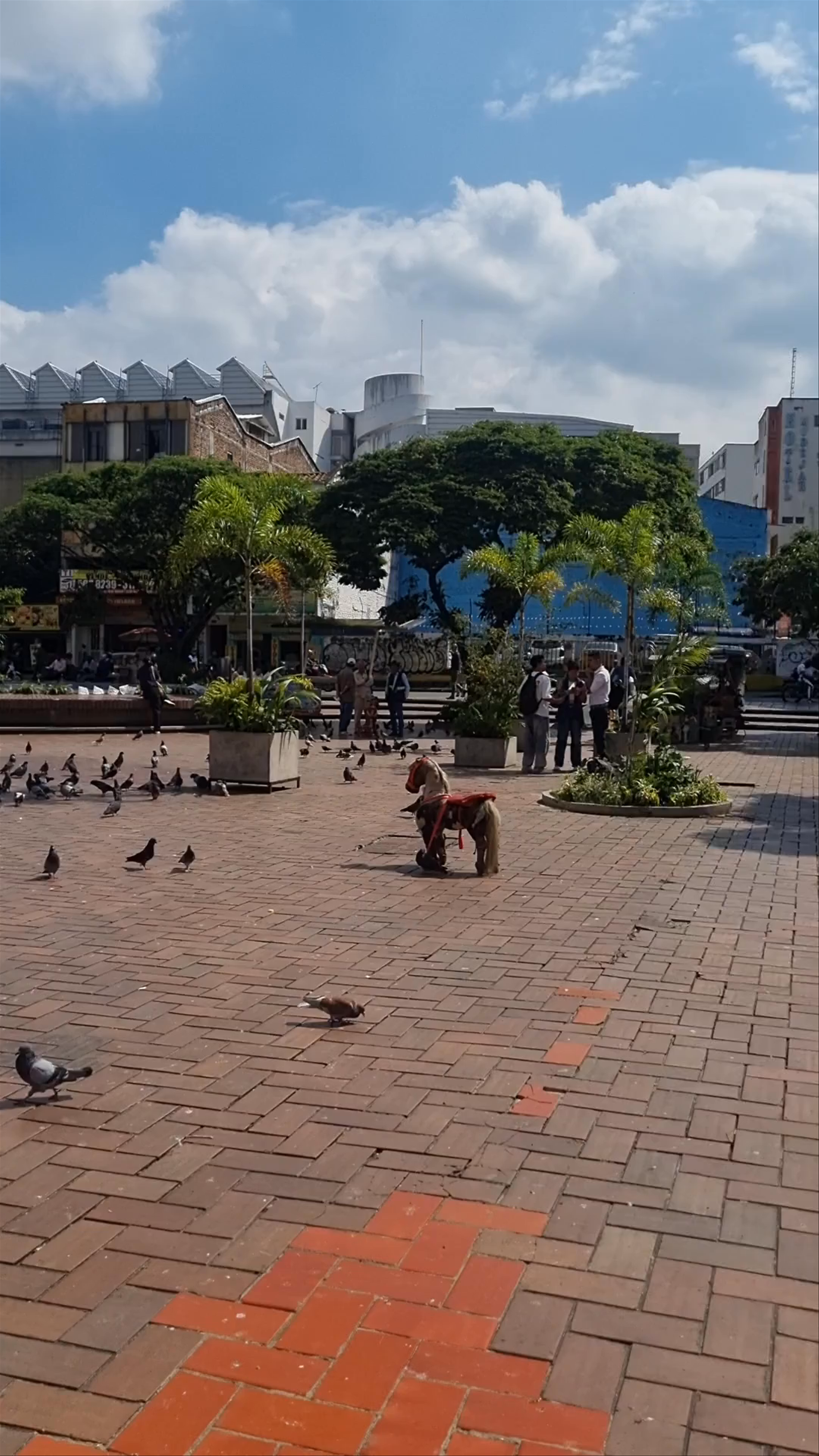 Plazoleta de San Francisco